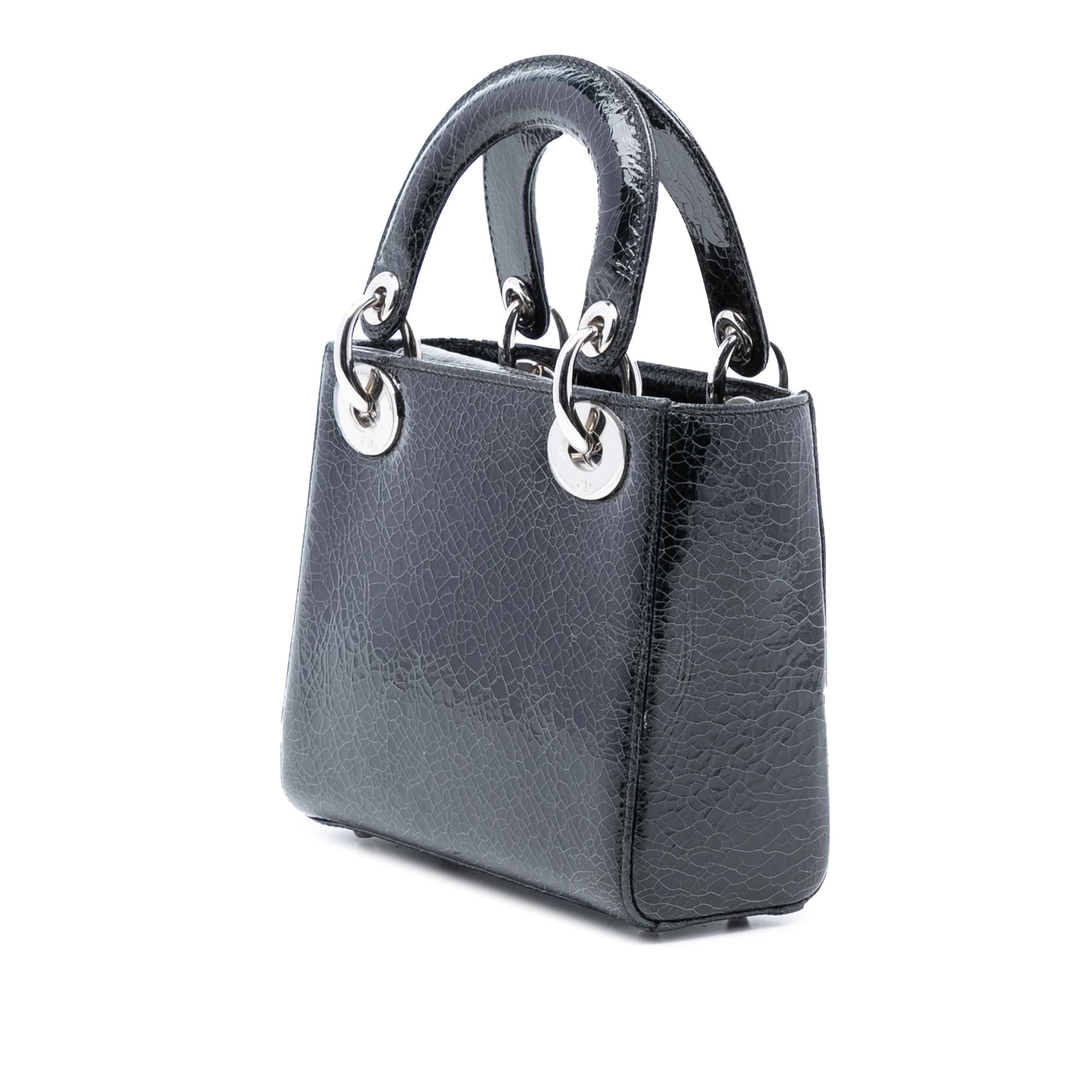 Dior Mini Deerskin Ceramic Effect Jeweled Swan Lady Dior