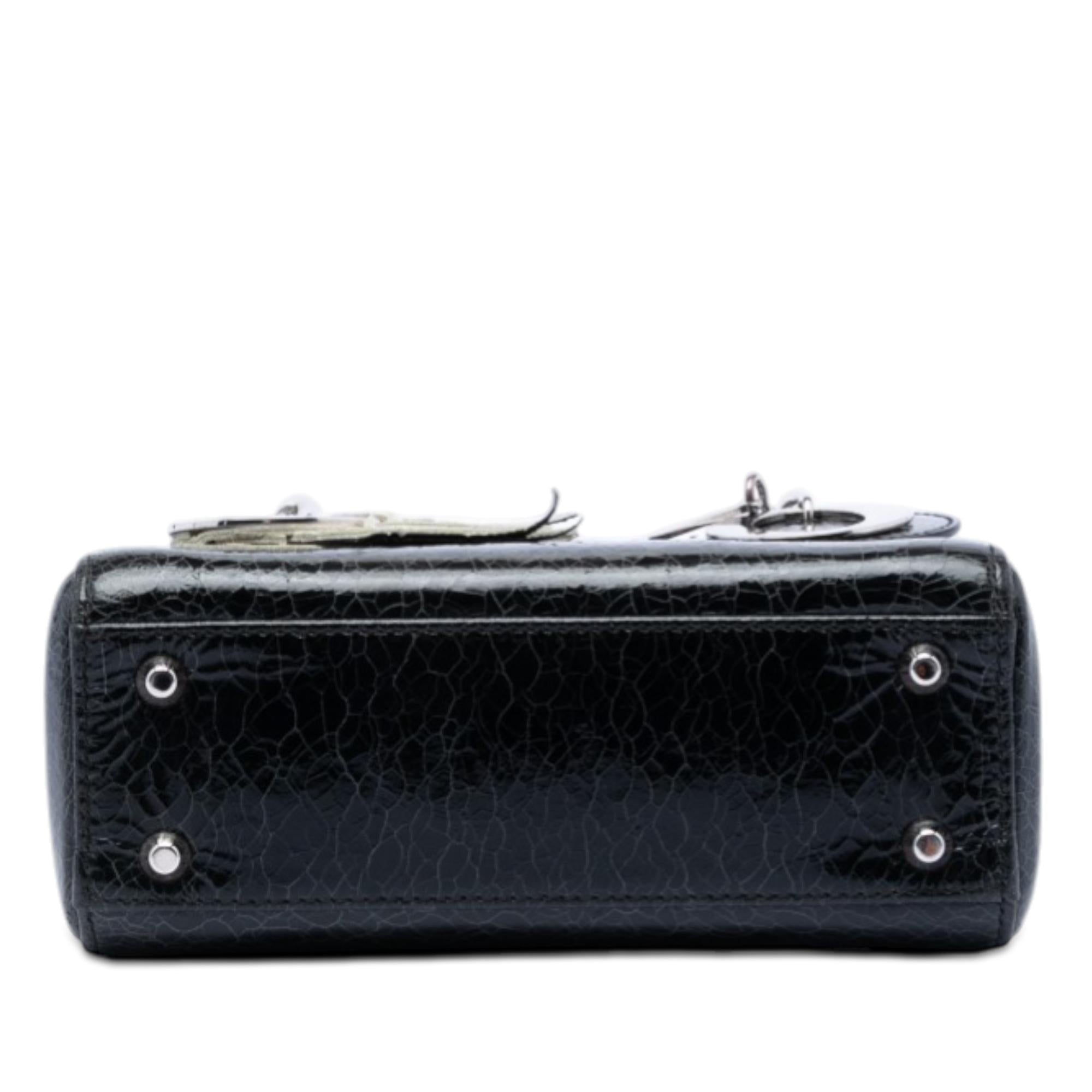 Dior Mini Deerskin Ceramic Effect Jeweled Swan Lady Dior