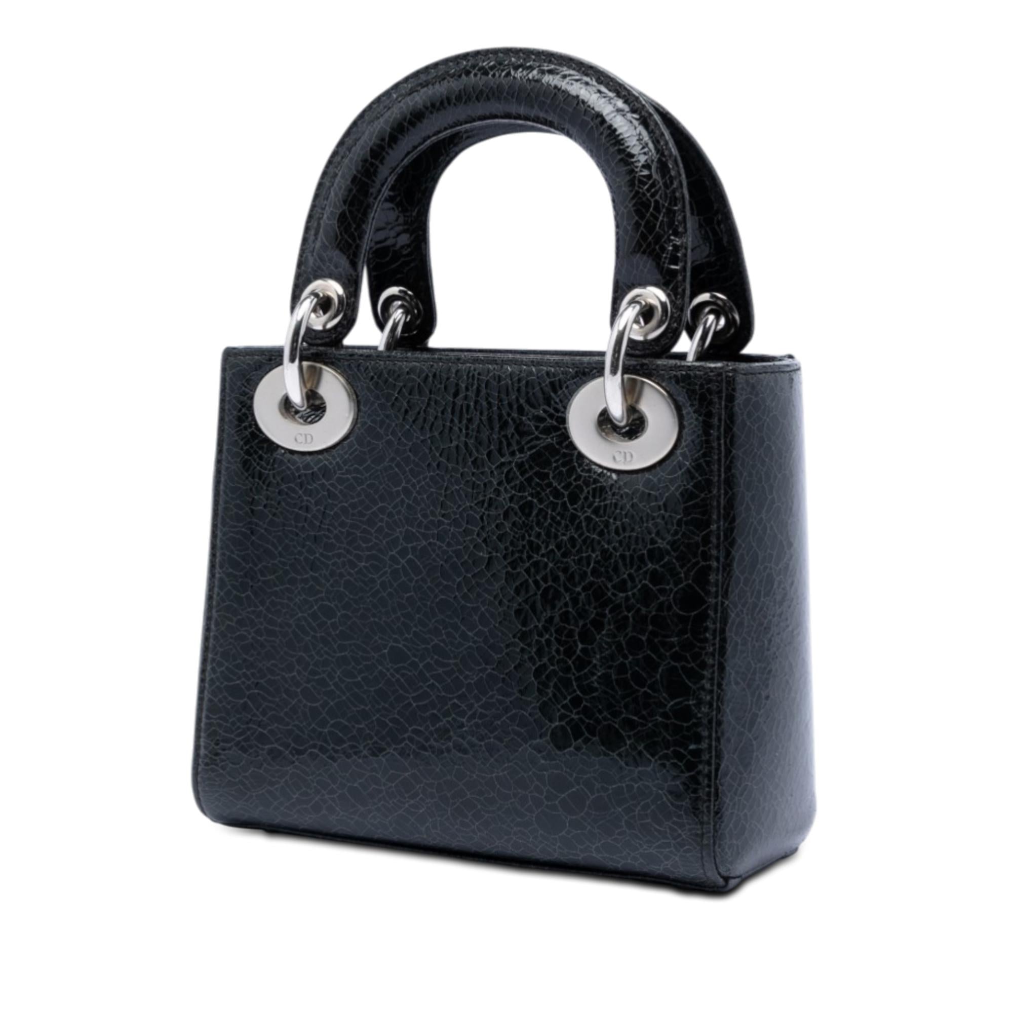 Dior Mini Deerskin Ceramic Effect Jeweled Swan Lady Dior