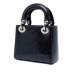 Dior Mini Deerskin Ceramic Effect Jeweled Swan Lady Dior