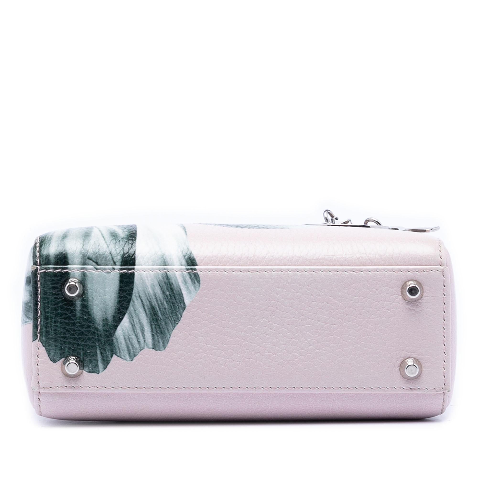 Dior Mini Deerskin Floral Printed Lady Dior