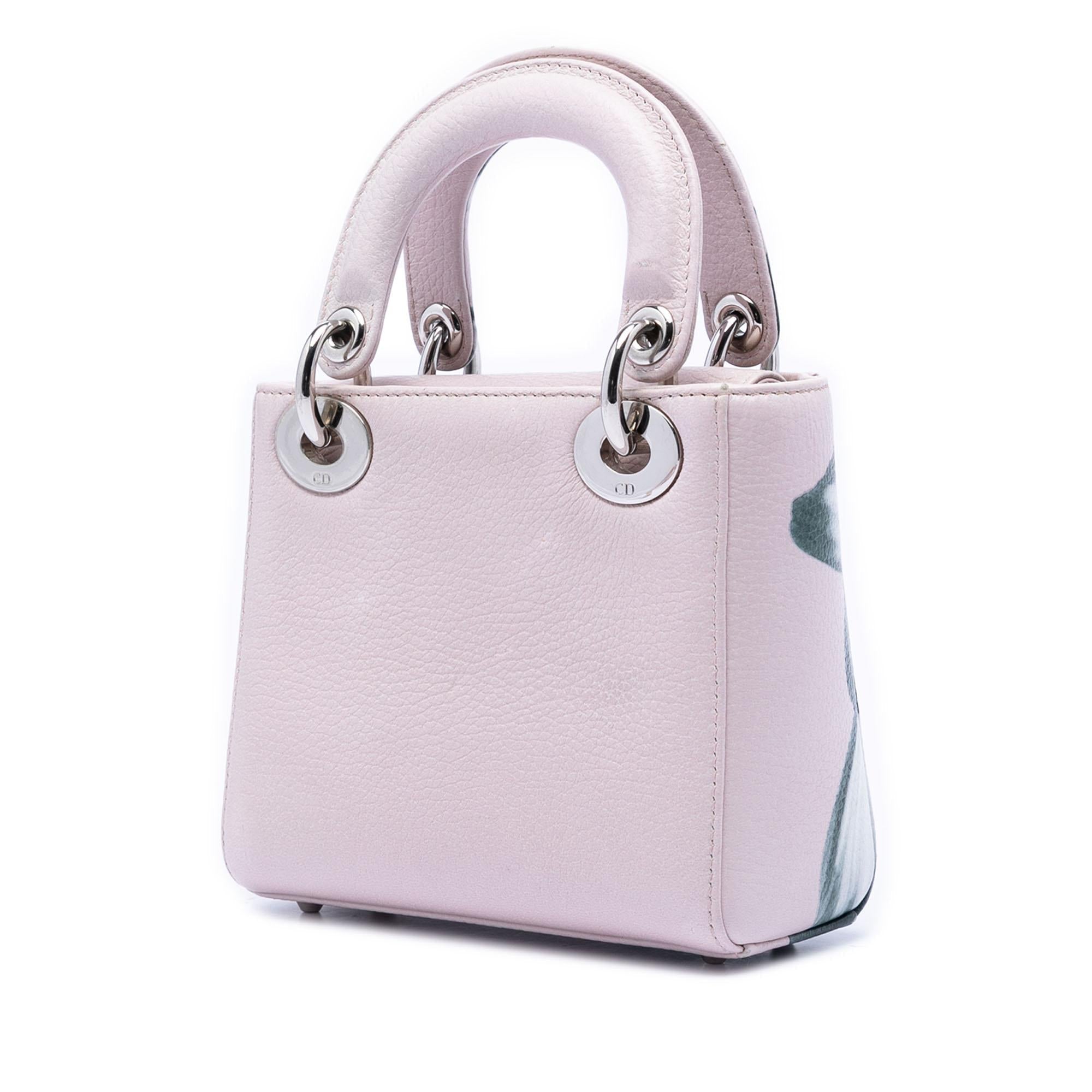 Dior Mini Deerskin Floral Printed Lady Dior