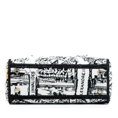 Dior Mini Embroidered Canvas Plan de Paris Lady D Lite