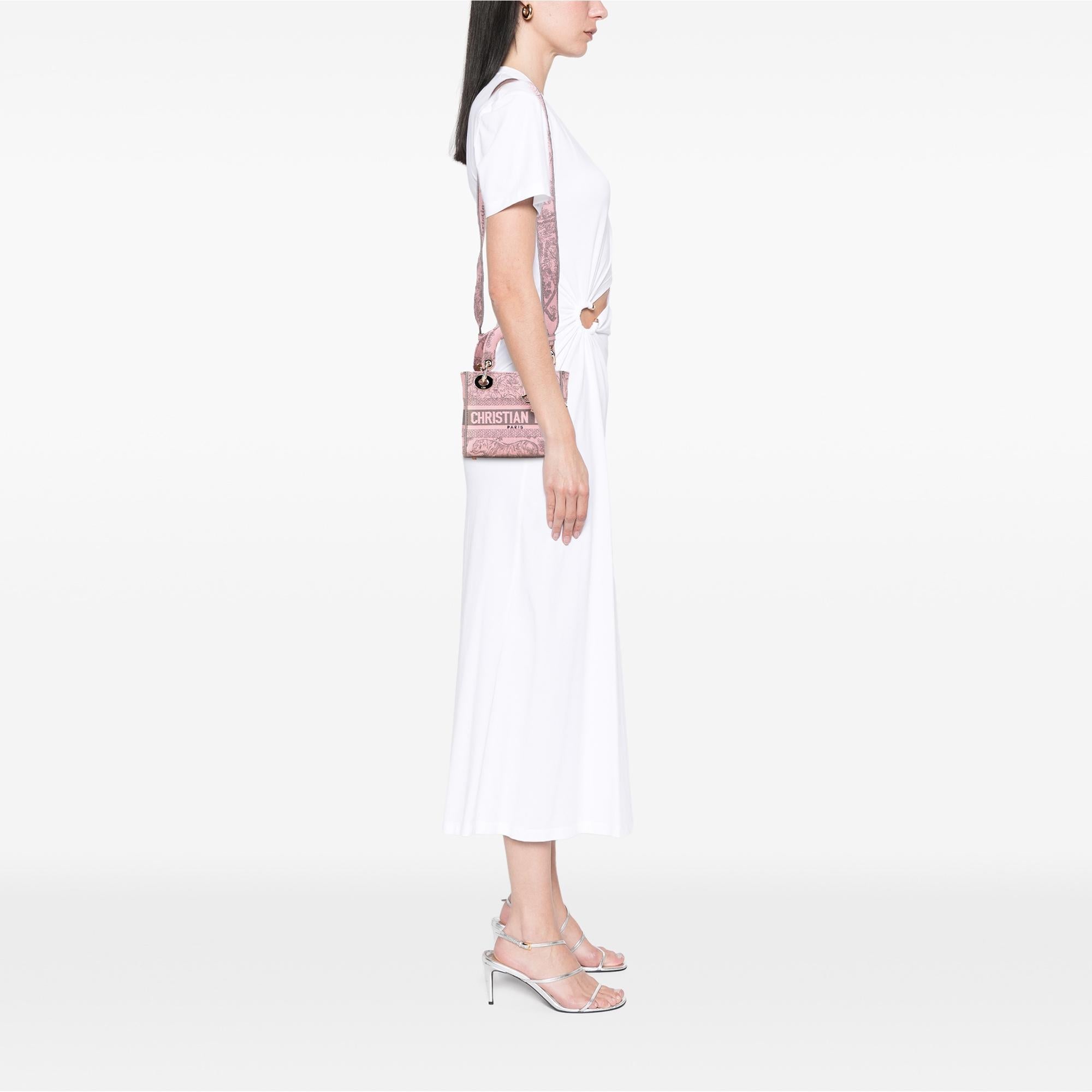 Dior Mini Embroidered Canvas Toile De Jouy Lady D Lite