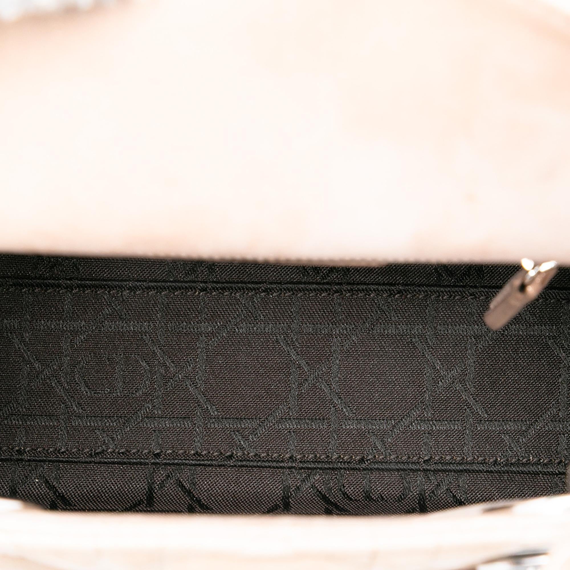 Dior Mini Iridescent Lambskin Cannage Lady Dior