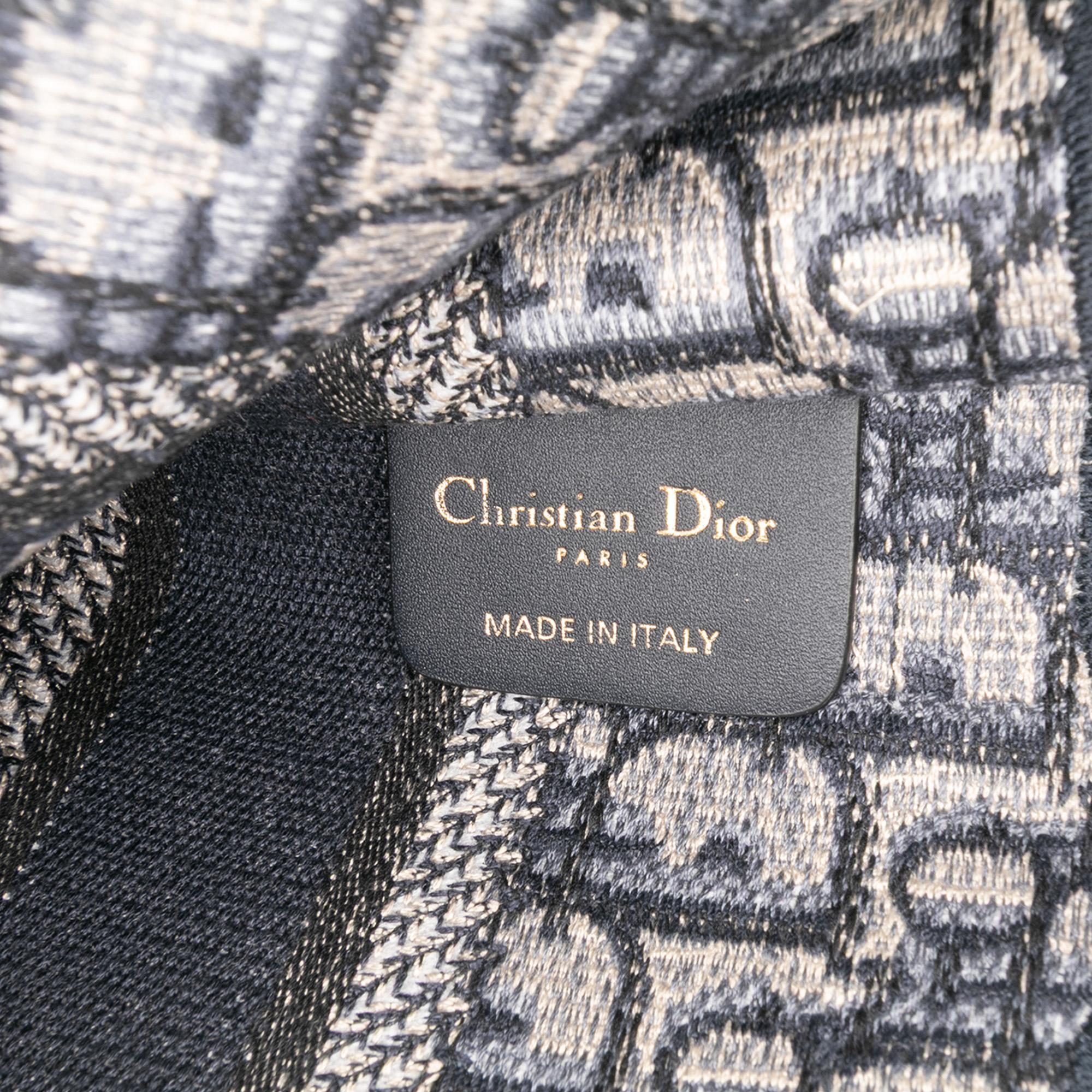 Dior Mini Oblique Canvas Book Tote