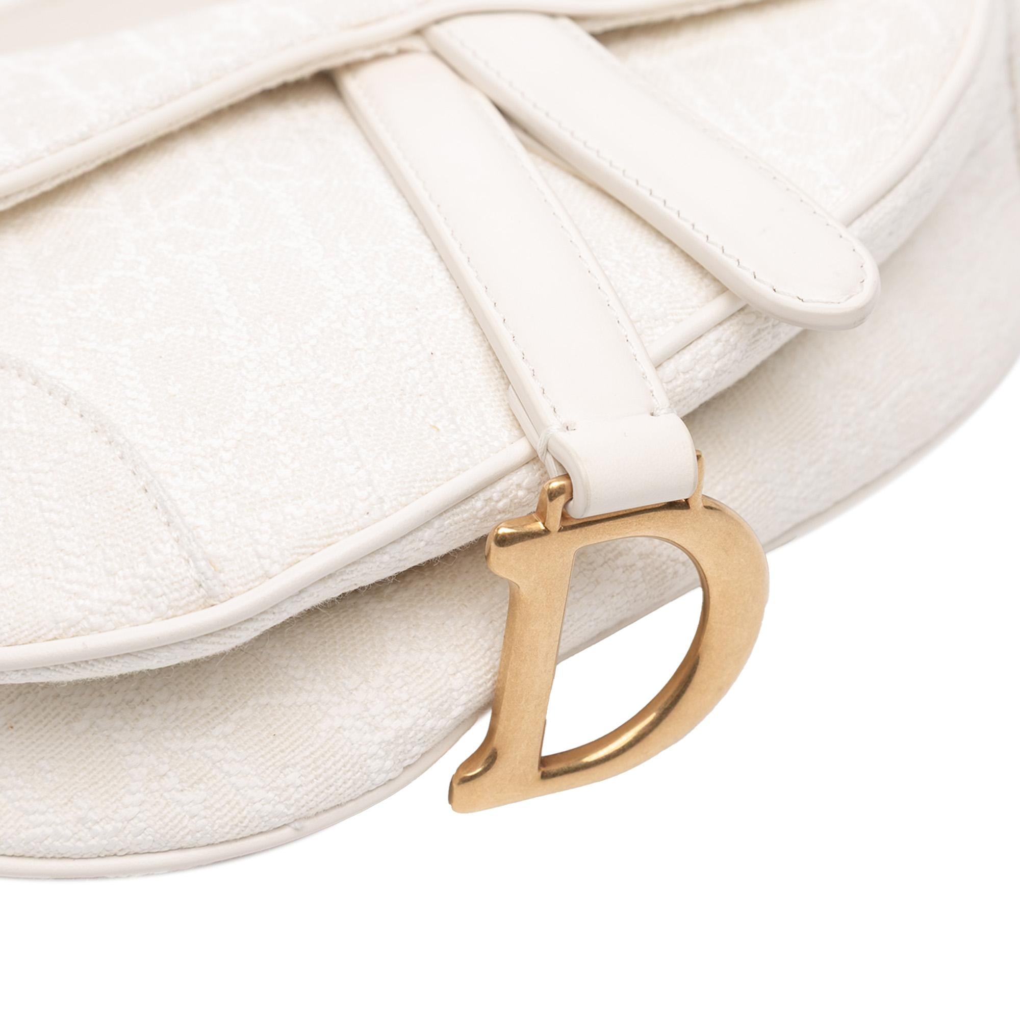 Dior Mini Oblique Canvas Saddle Bag