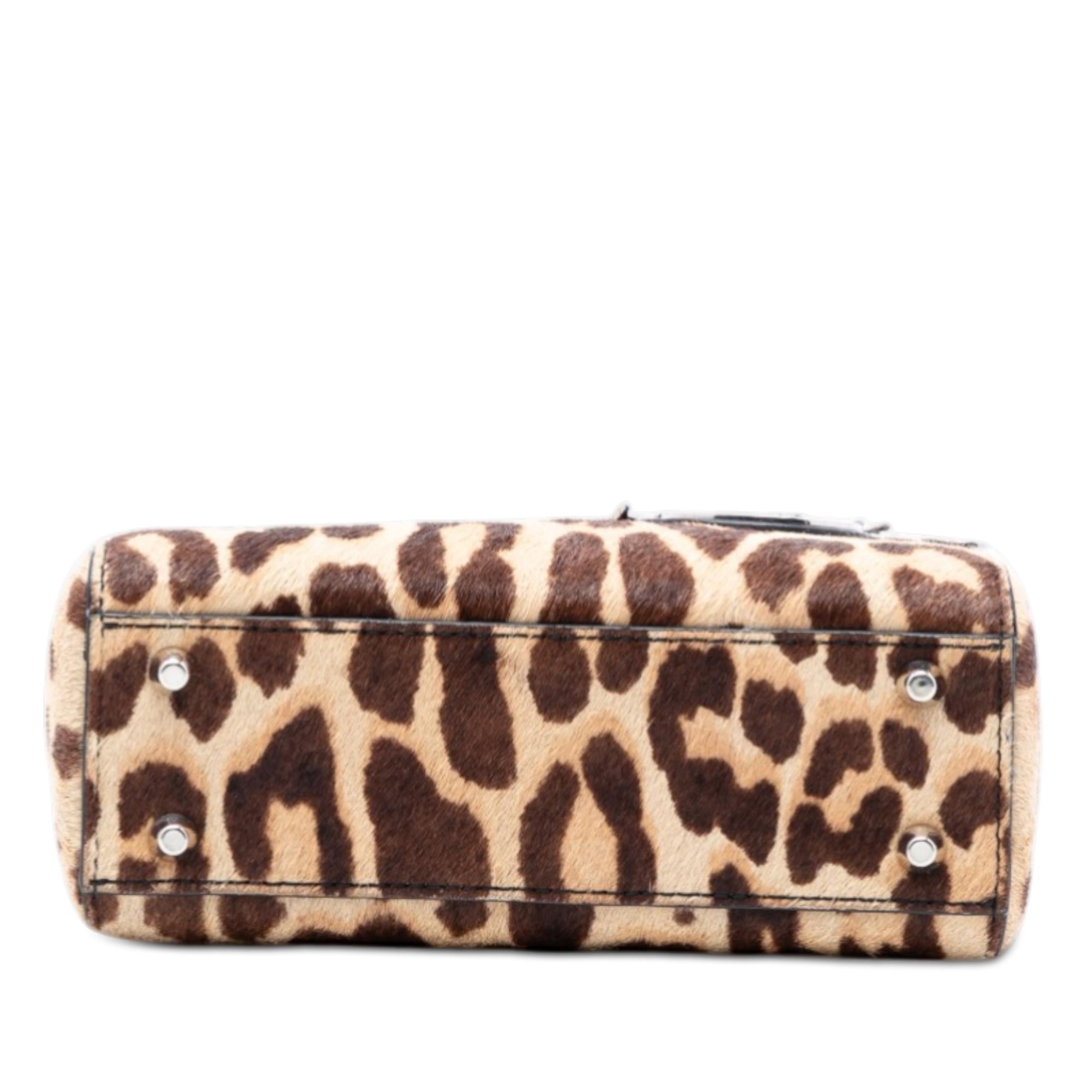 Dior Mini Pony Hair Leopard Print Lady Dior