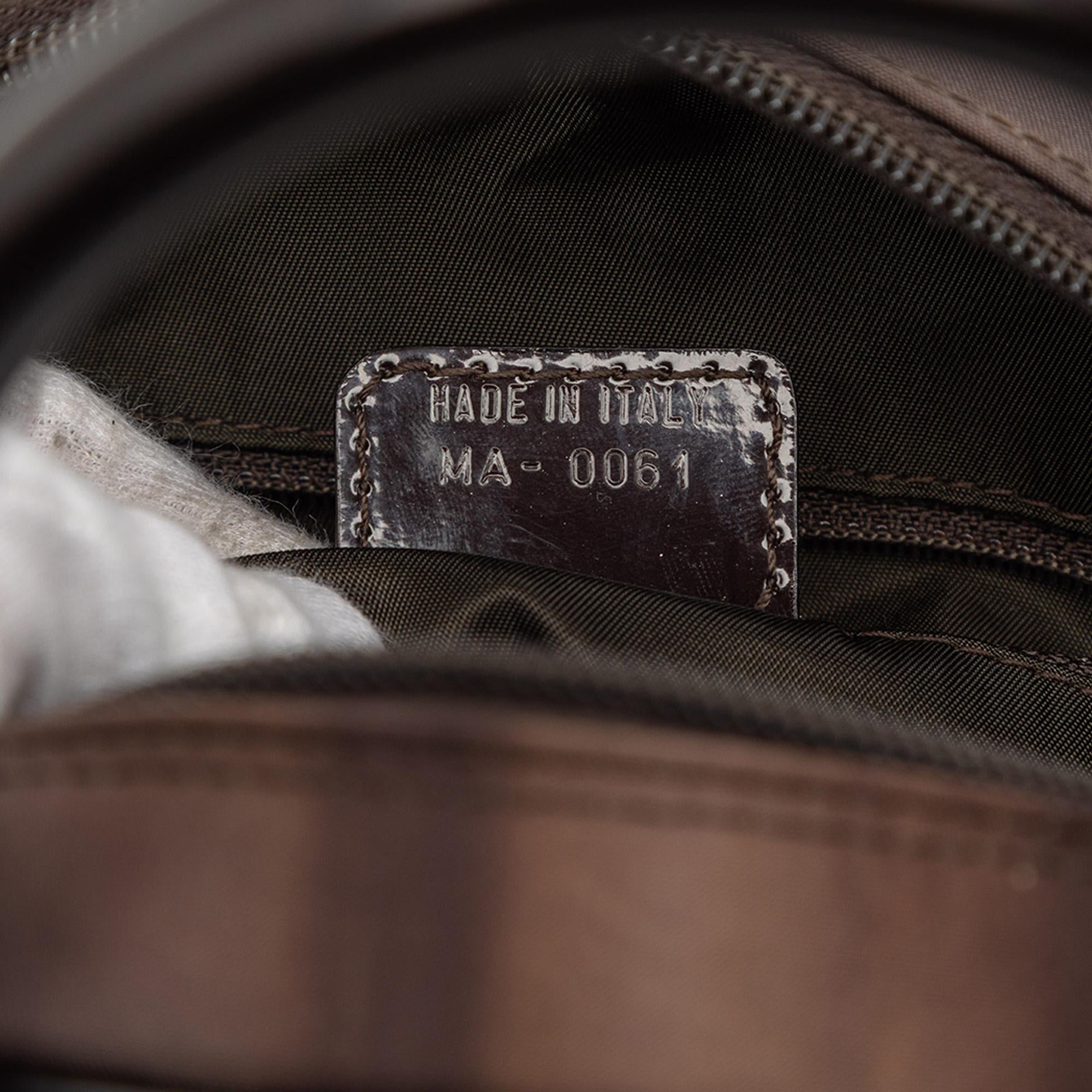Dior Mini Printed Nylon Double Saddle Bowler Bag