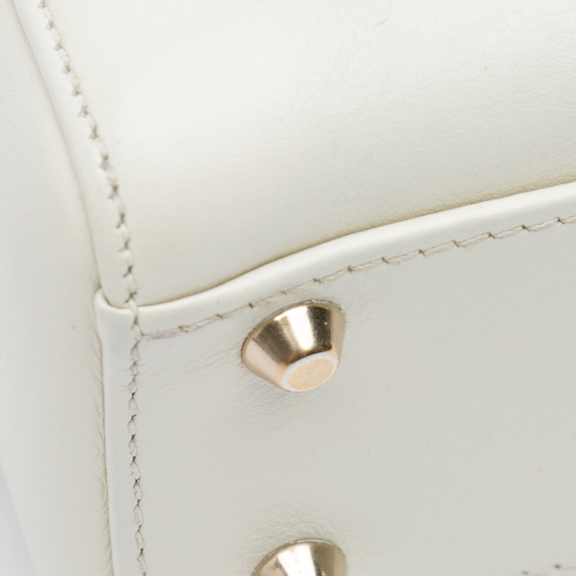 Dior Niki De Saint Phalle Mini Calfskin Dioramour Lady Dior