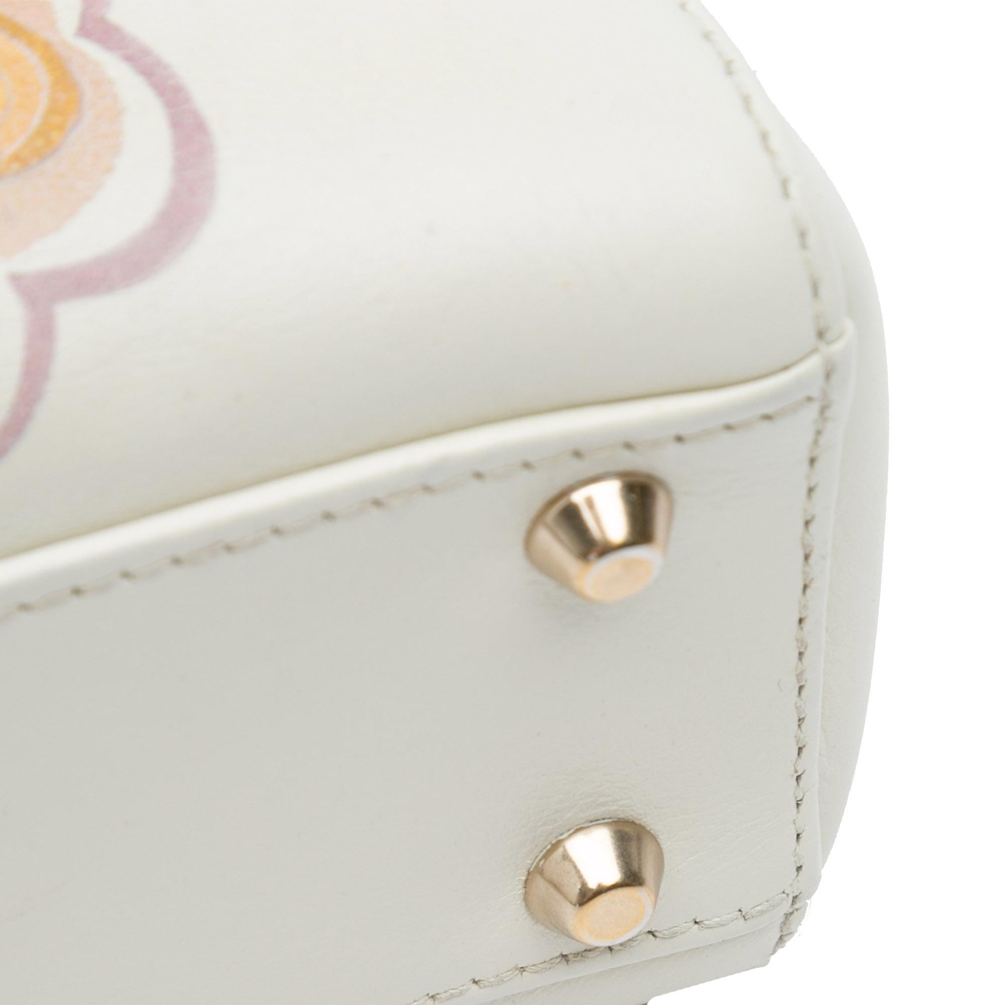 Dior Niki De Saint Phalle Mini Calfskin Dioramour Lady Dior