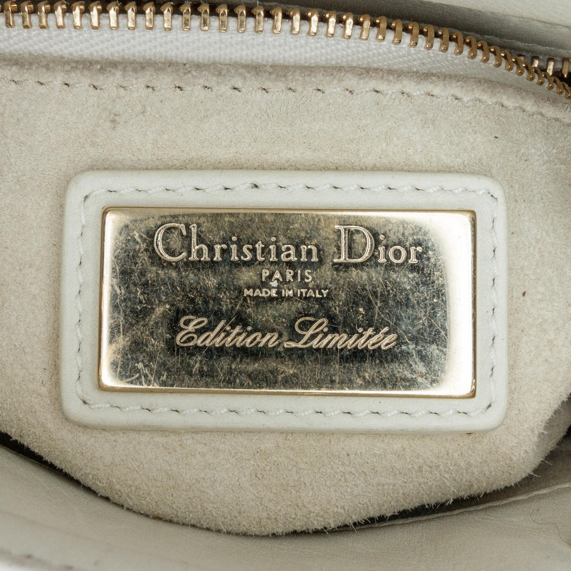 Dior Niki De Saint Phalle Mini Calfskin Dioramour Lady Dior