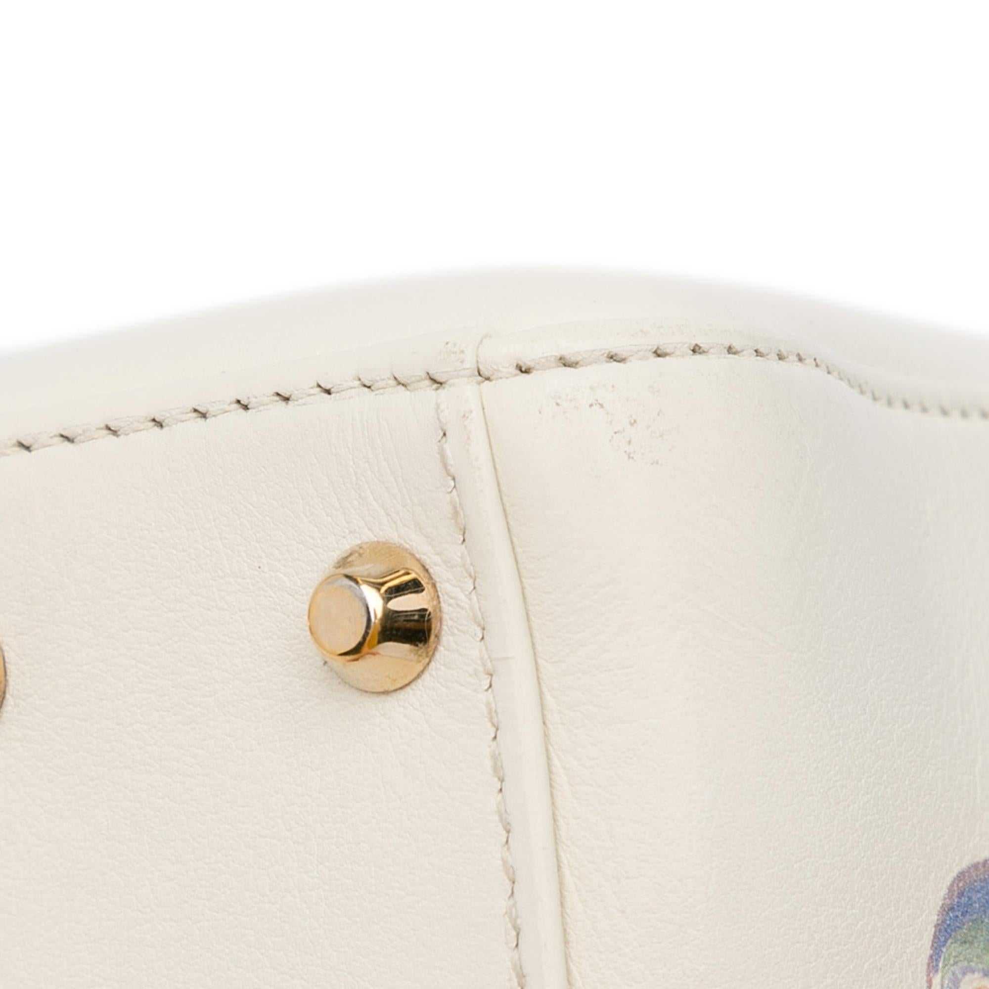 Dior Niki De Saint Phalle Mini Calfskin Dioramour Lady Dior