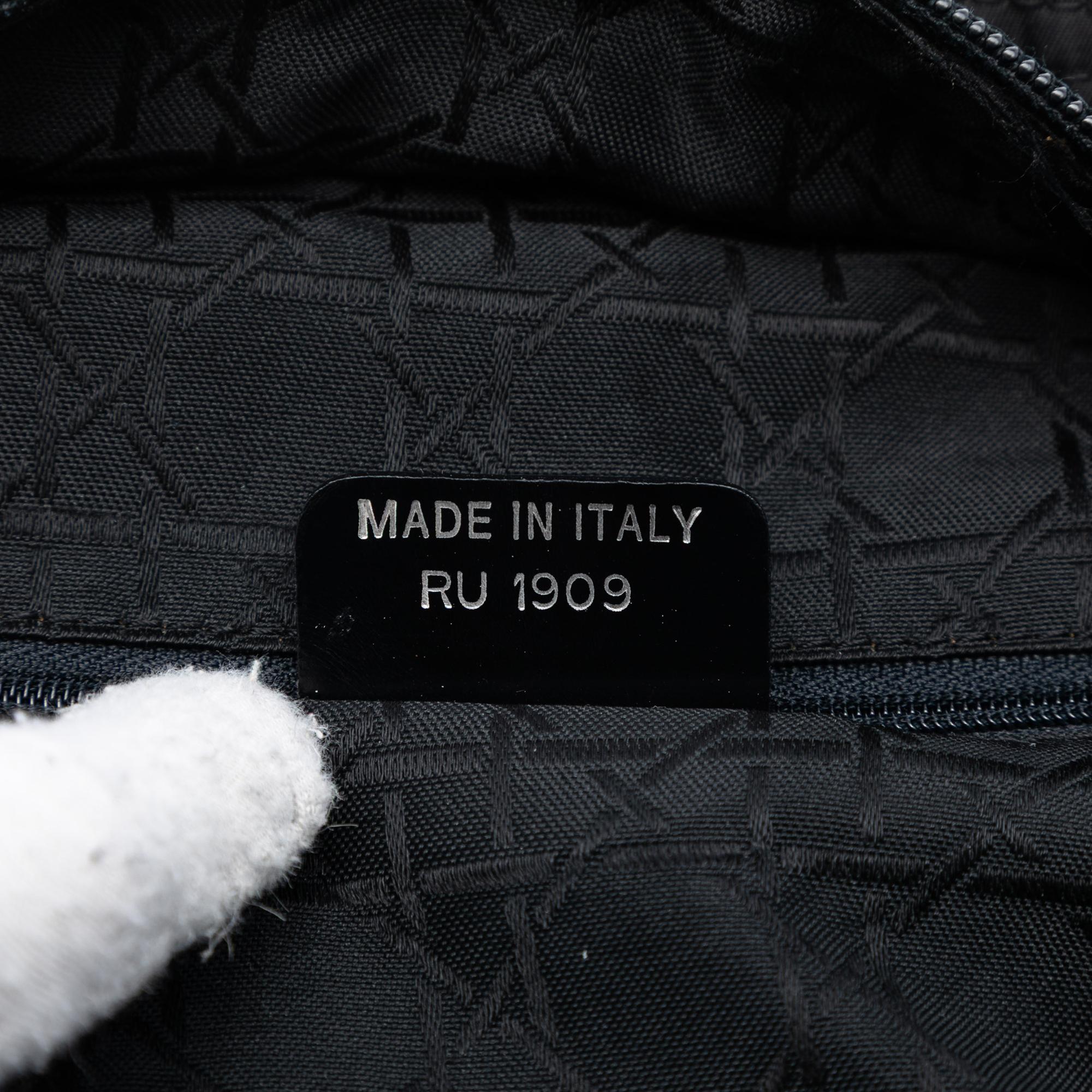 Dior Nylon Malice Tote