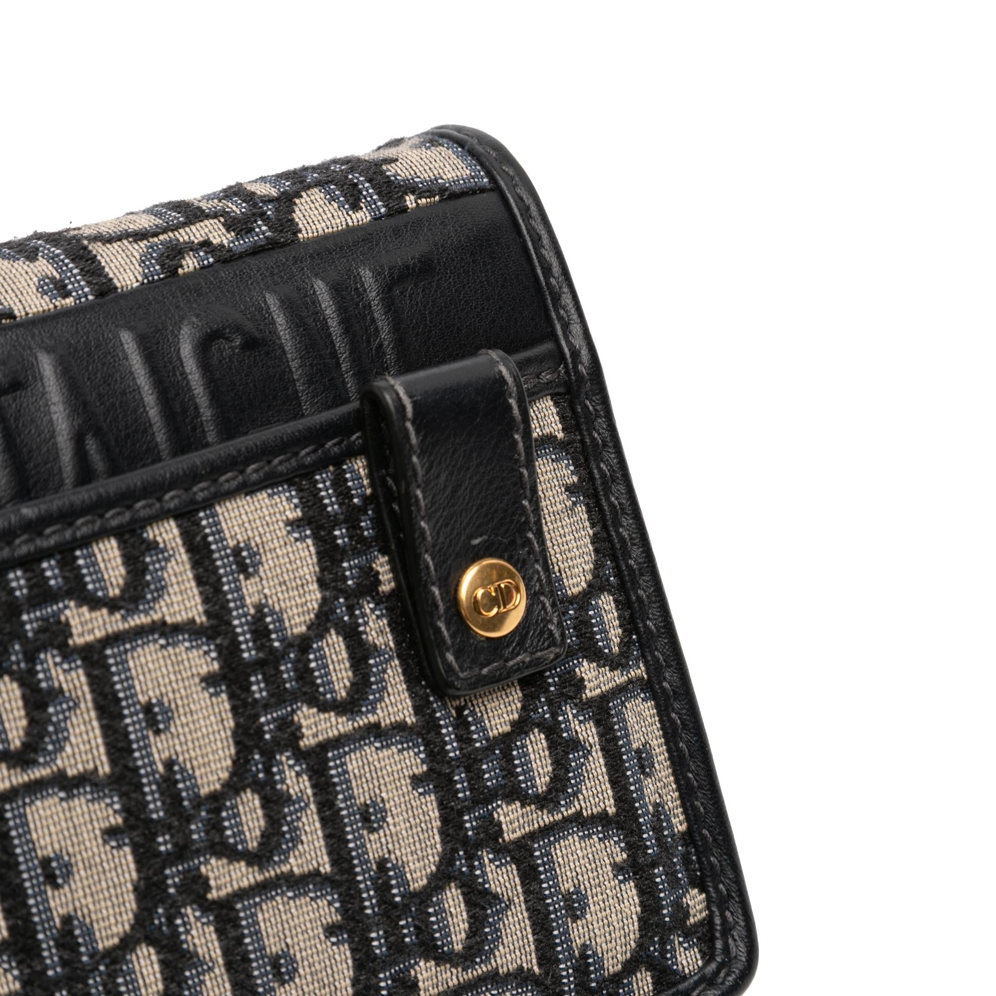 Dior Oblique Canvas 30 Montaigne 2 in 1 Pouch