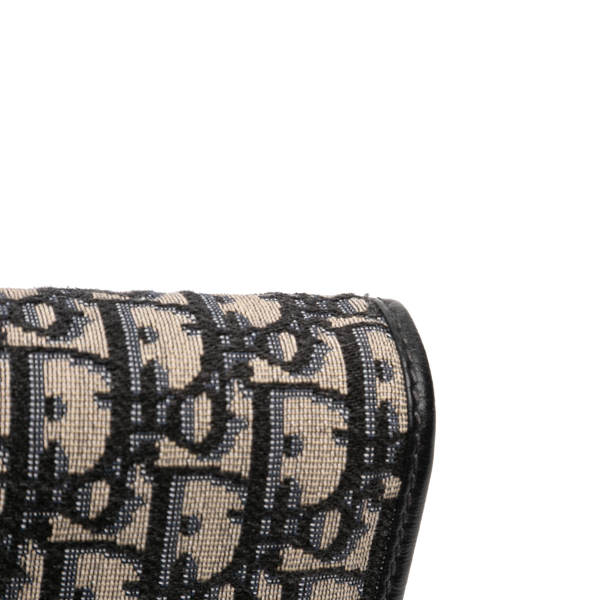 Dior Oblique Canvas 30 Montaigne 2 in 1 Pouch