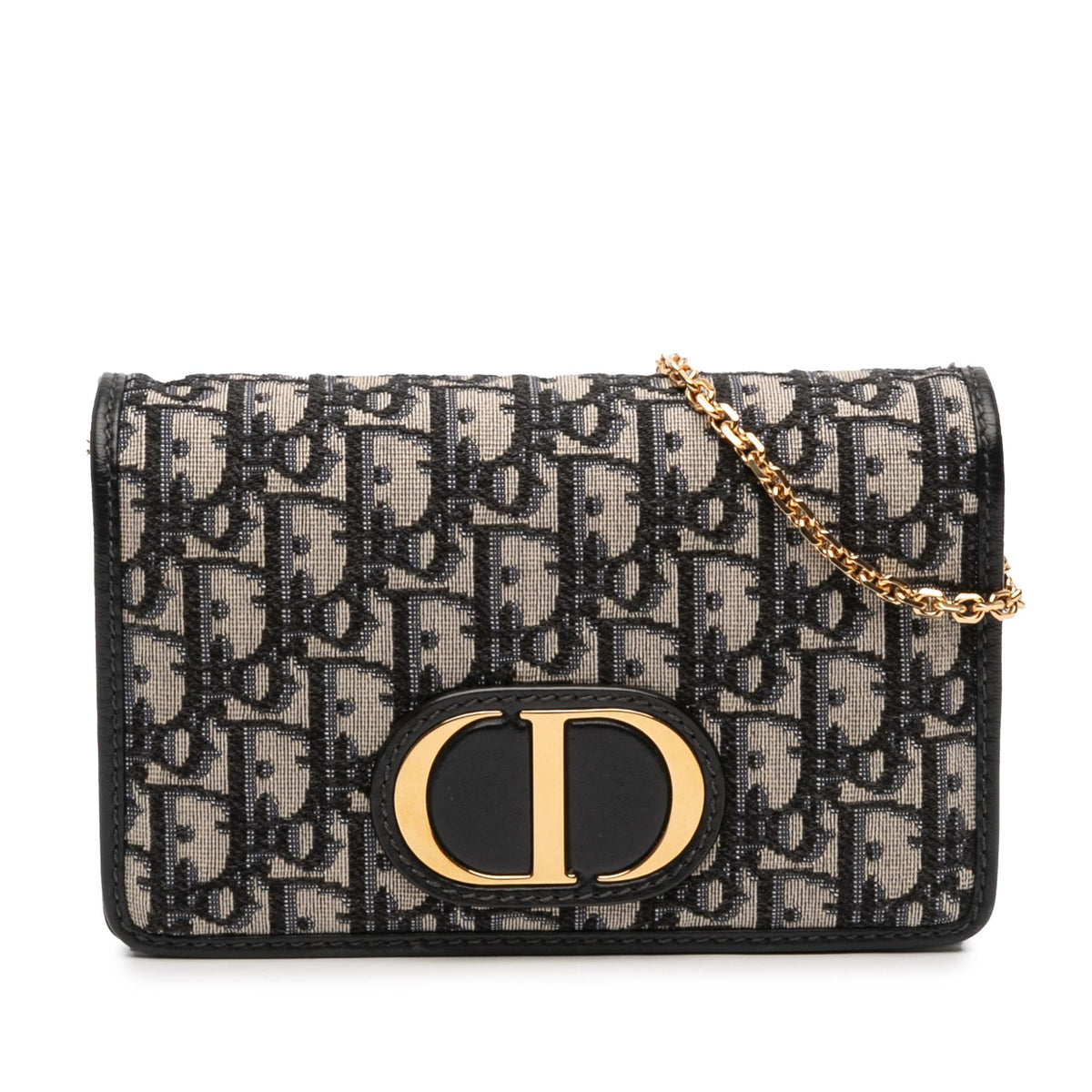 Dior Oblique Canvas 30 Montaigne 2 in 1 Pouch