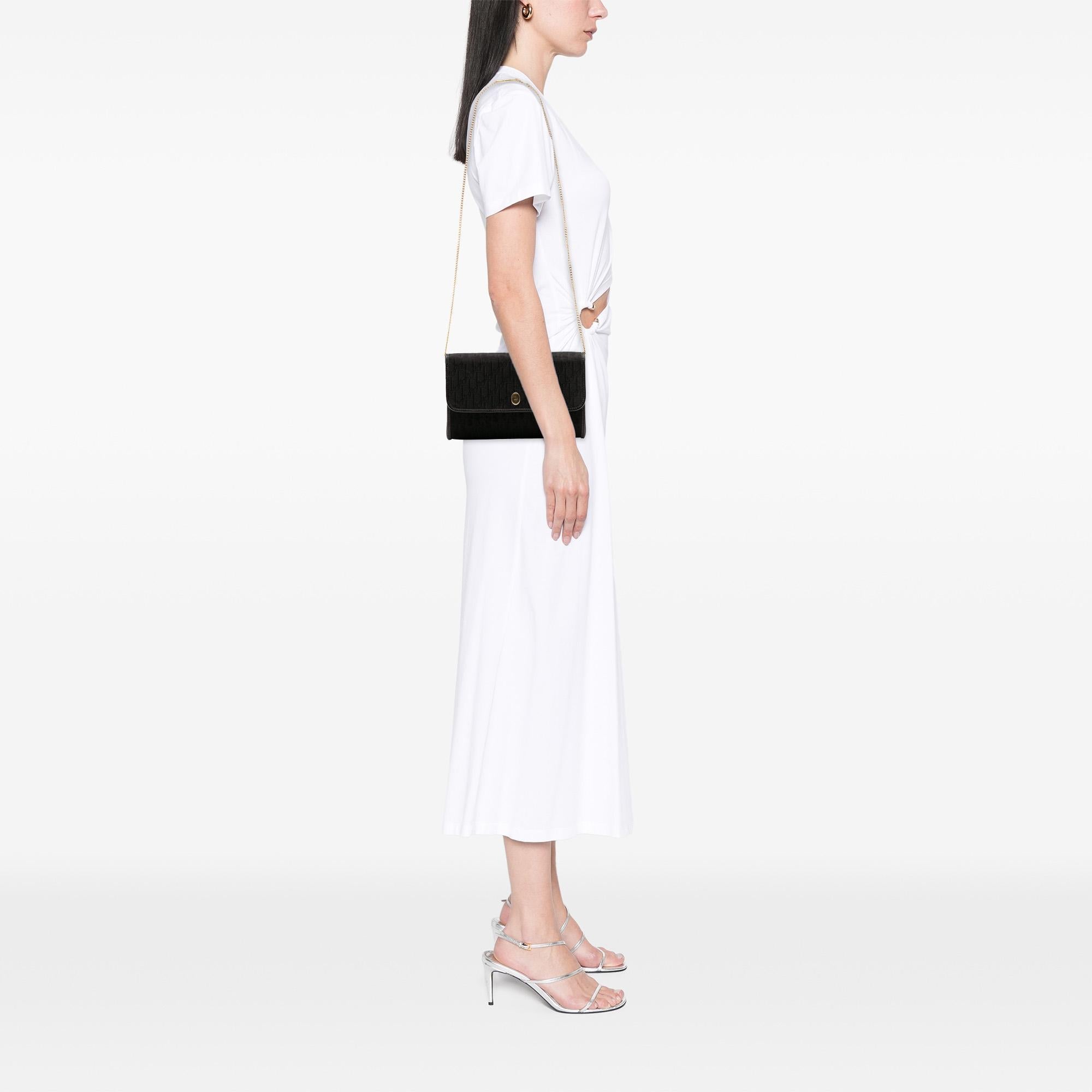 Dior Oblique Canvas Chain Crossbody