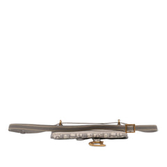 Dior Oblique Canvas Embroidered Saddle Belt Bag