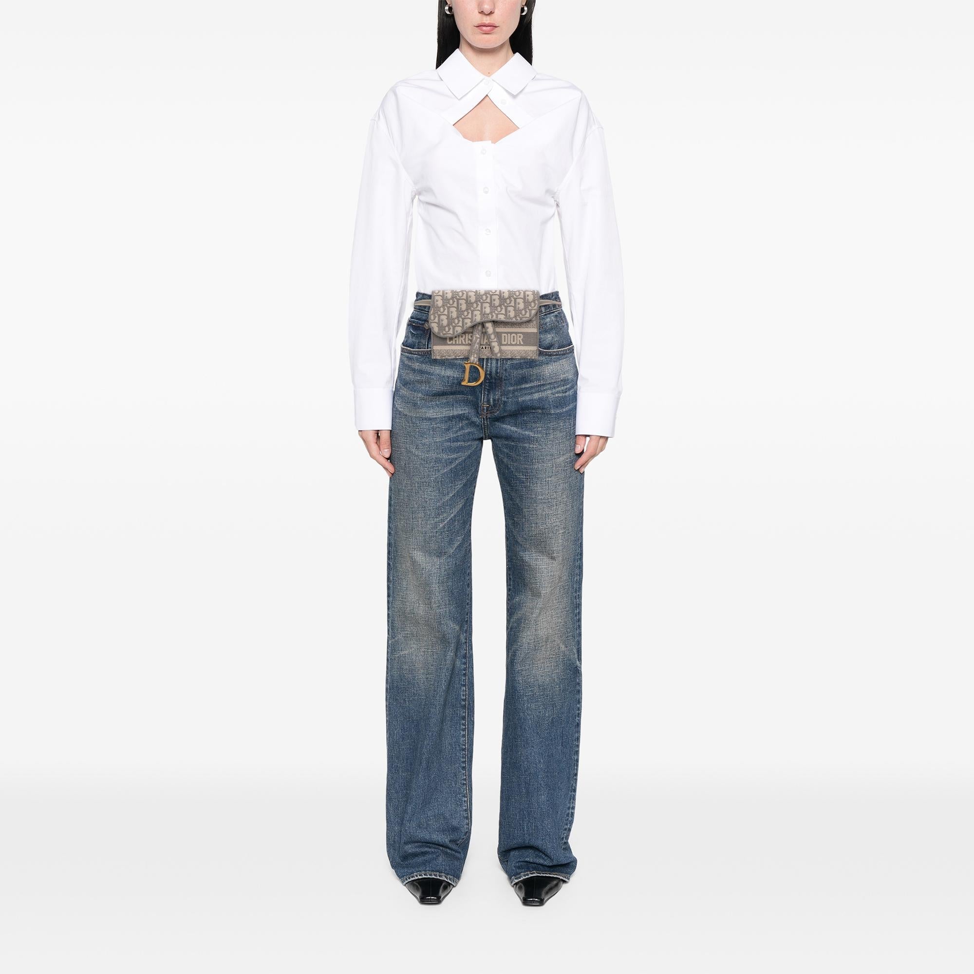 Dior Oblique Canvas Embroidered Saddle Belt Bag