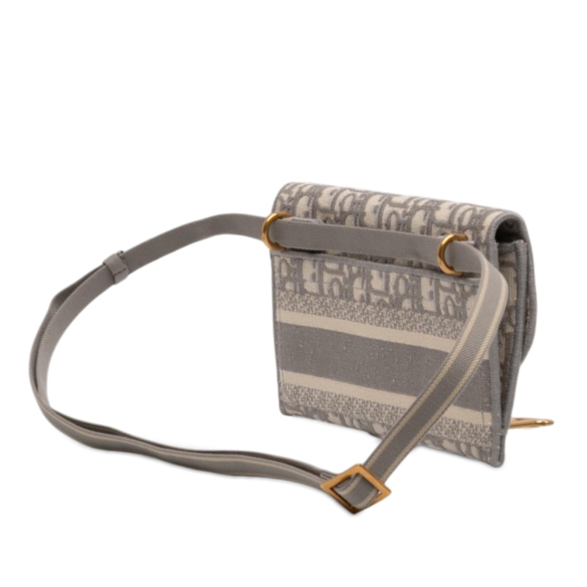 Dior Oblique Canvas Embroidered Saddle Belt Bag