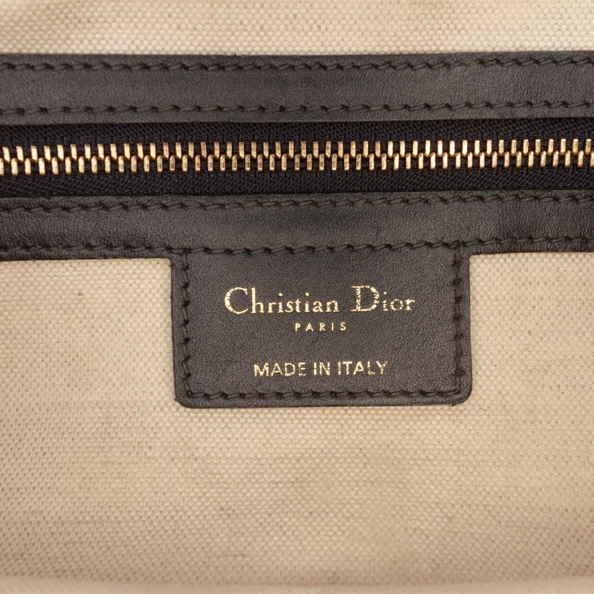 Dior Oblique Canvas Flap Crossbody