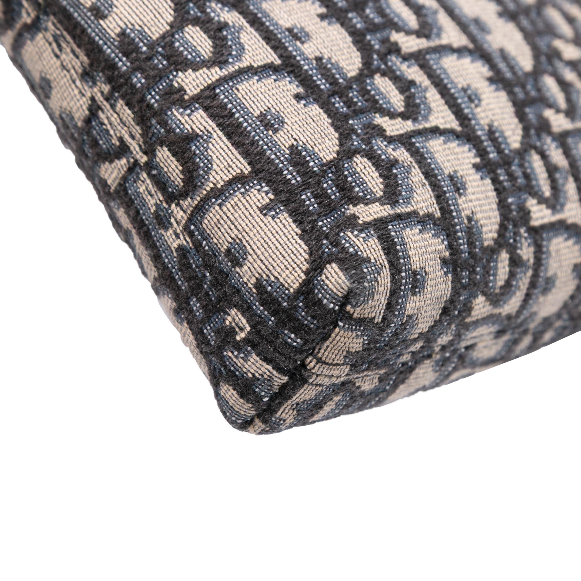 Dior Oblique Canvas Pouch