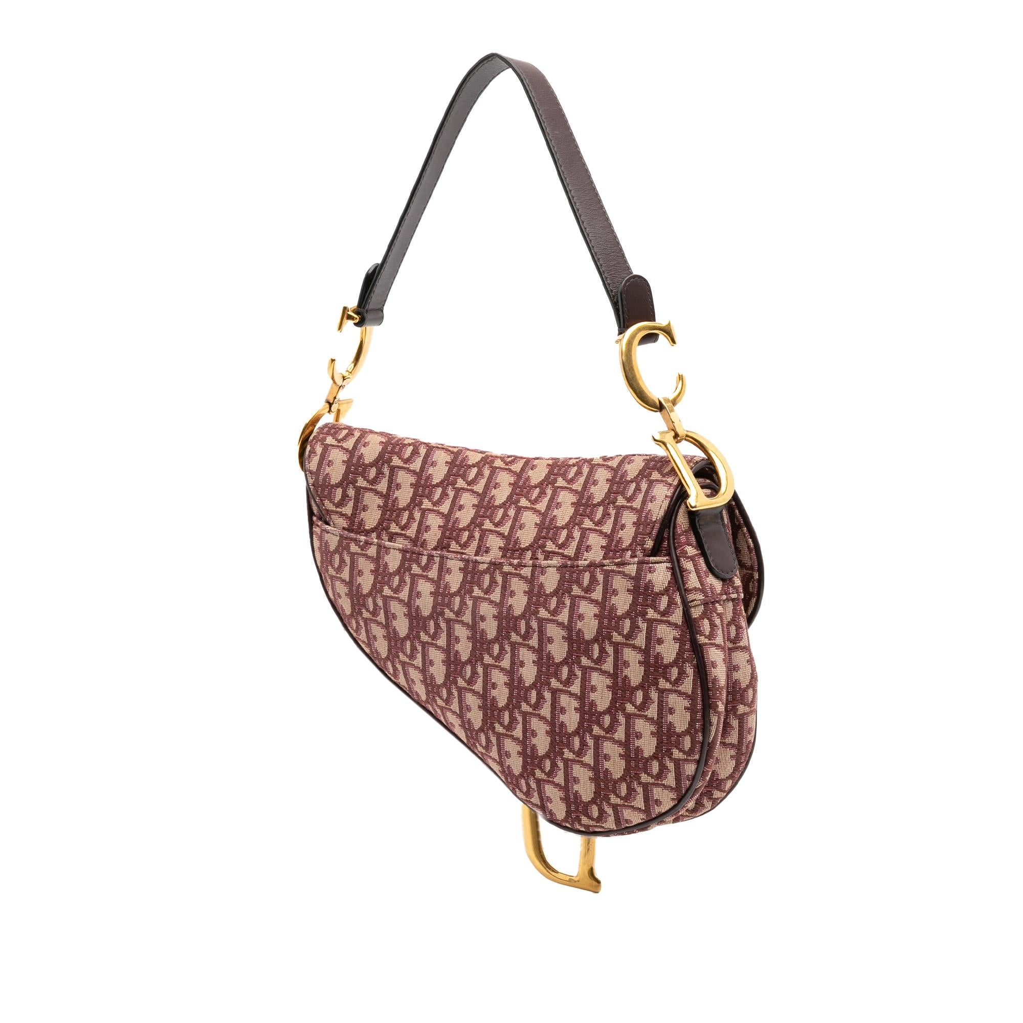 Dior Oblique Canvas Saddle Bag