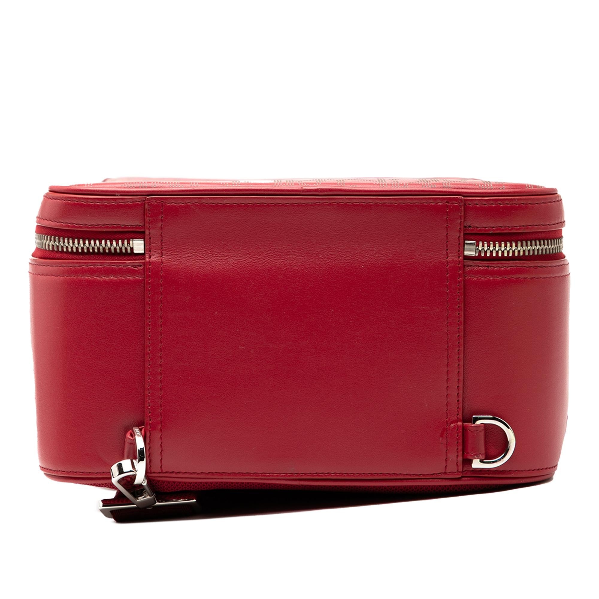 Dior Oblique Perforated Calfskin Galaxy World Tour Shoe Case