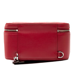 Dior Oblique Perforated Calfskin Galaxy World Tour Shoe Case