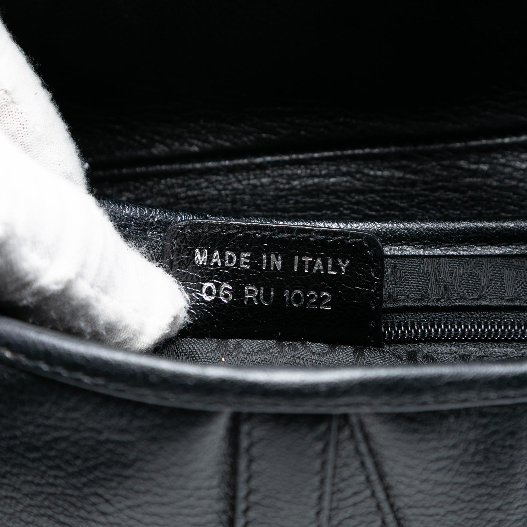 Dior Shiny Goatskin Saddle Bag
