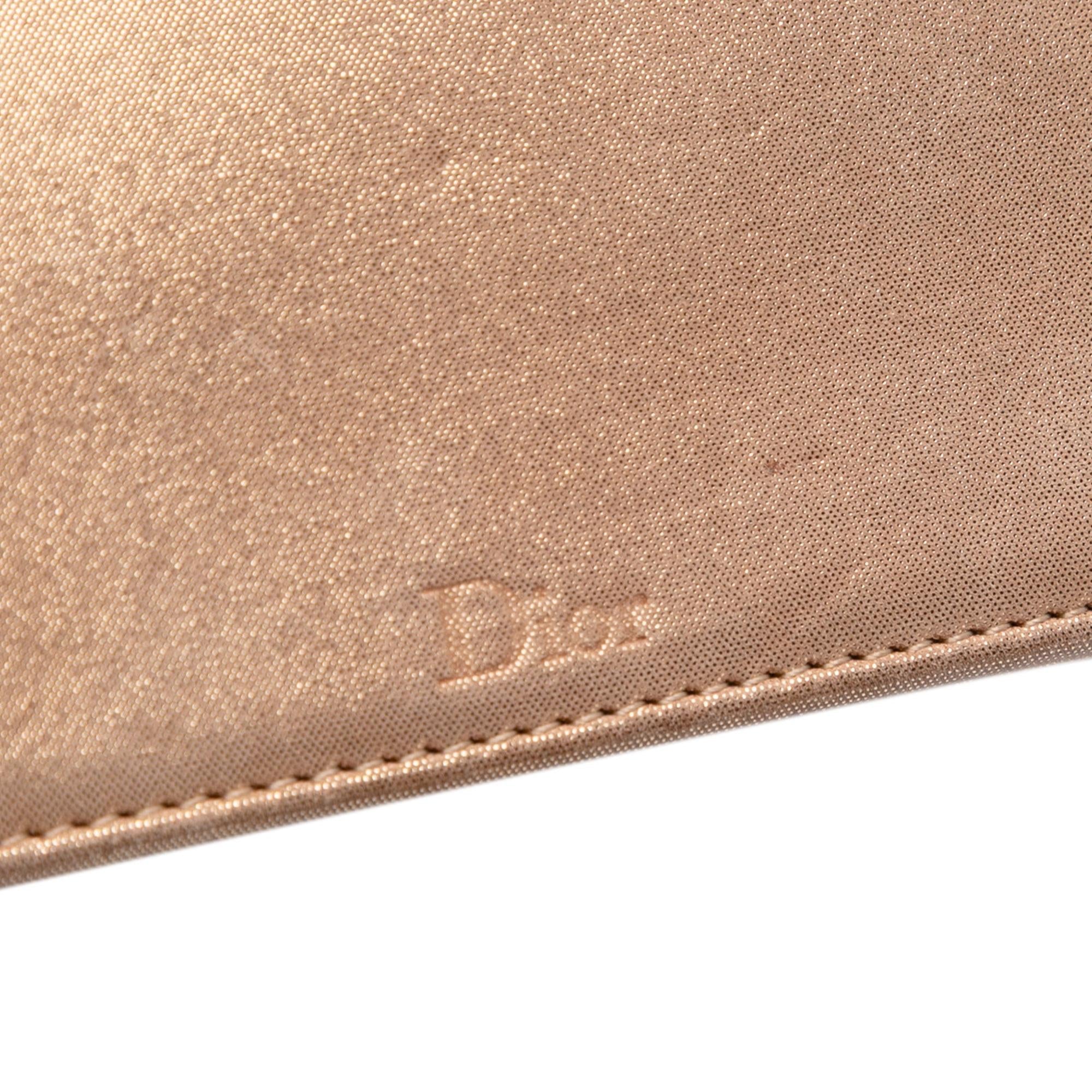 Dior Small Iridescent Lambskin Diorama Flap