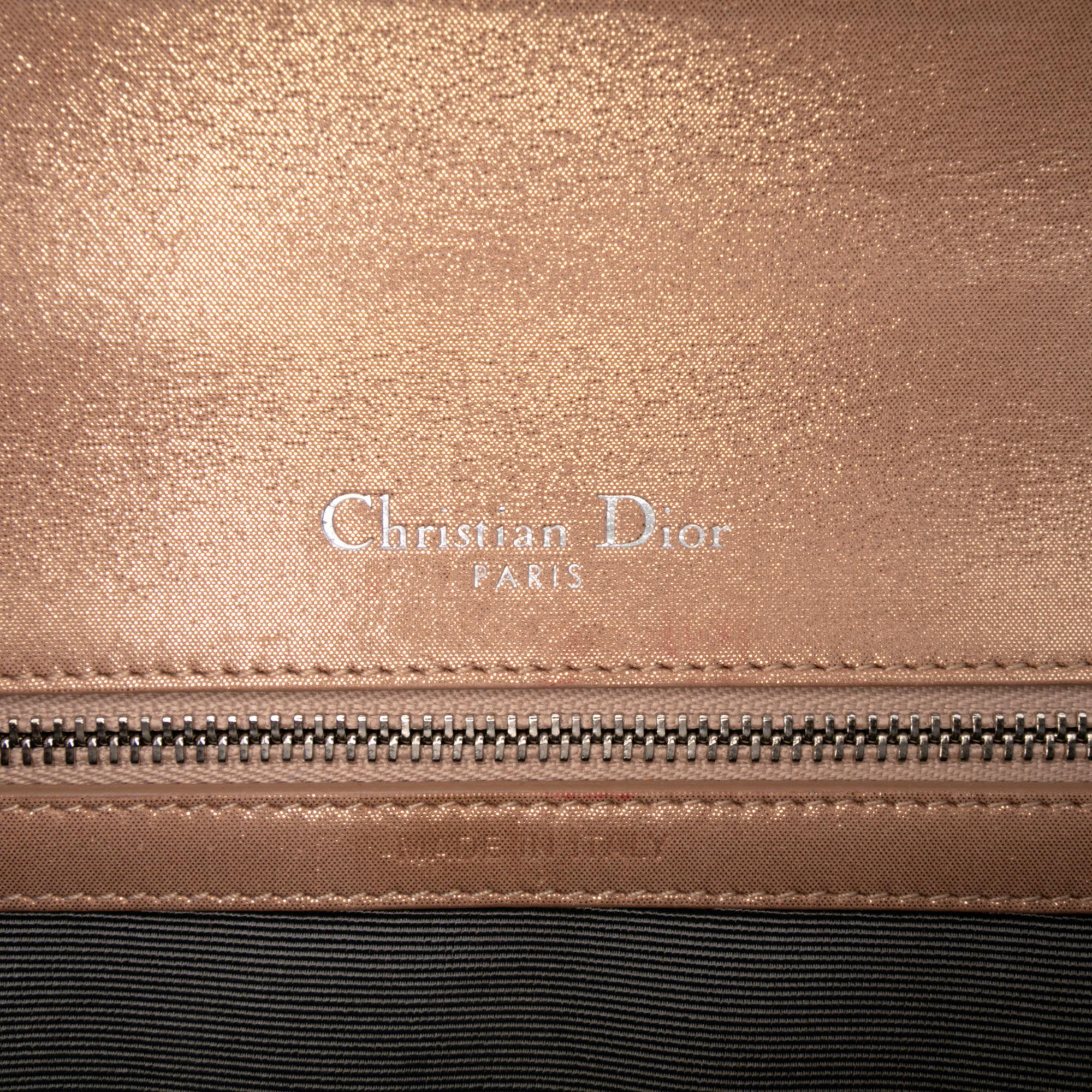 Dior Small Iridescent Lambskin Diorama Flap