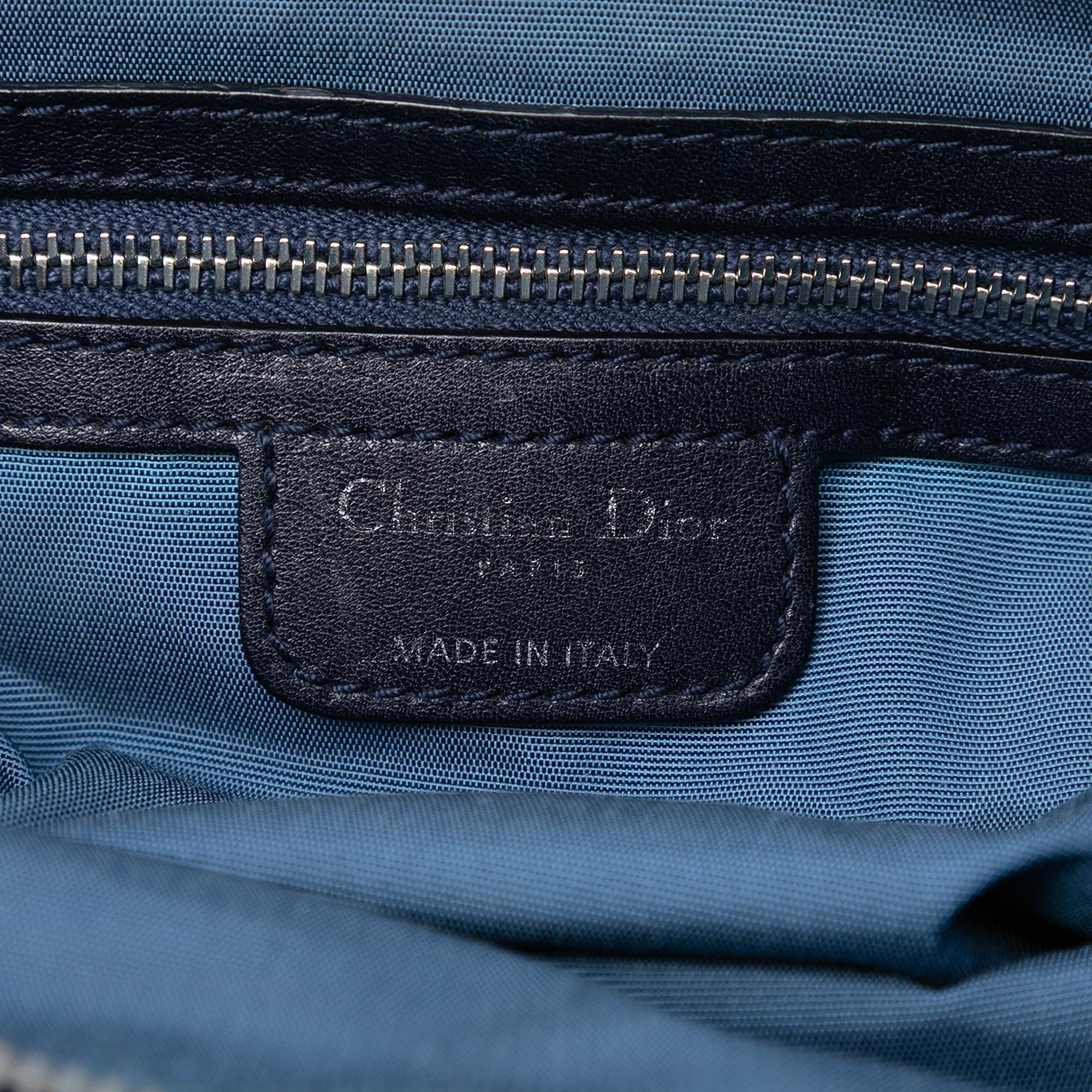 Dior Small Lambskin Karenina Frame Bag