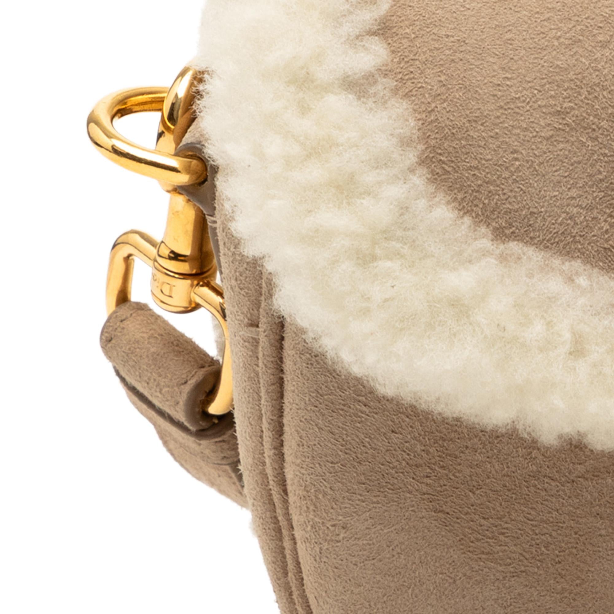Dior Small Suede Shearling Bobby Crossbody
