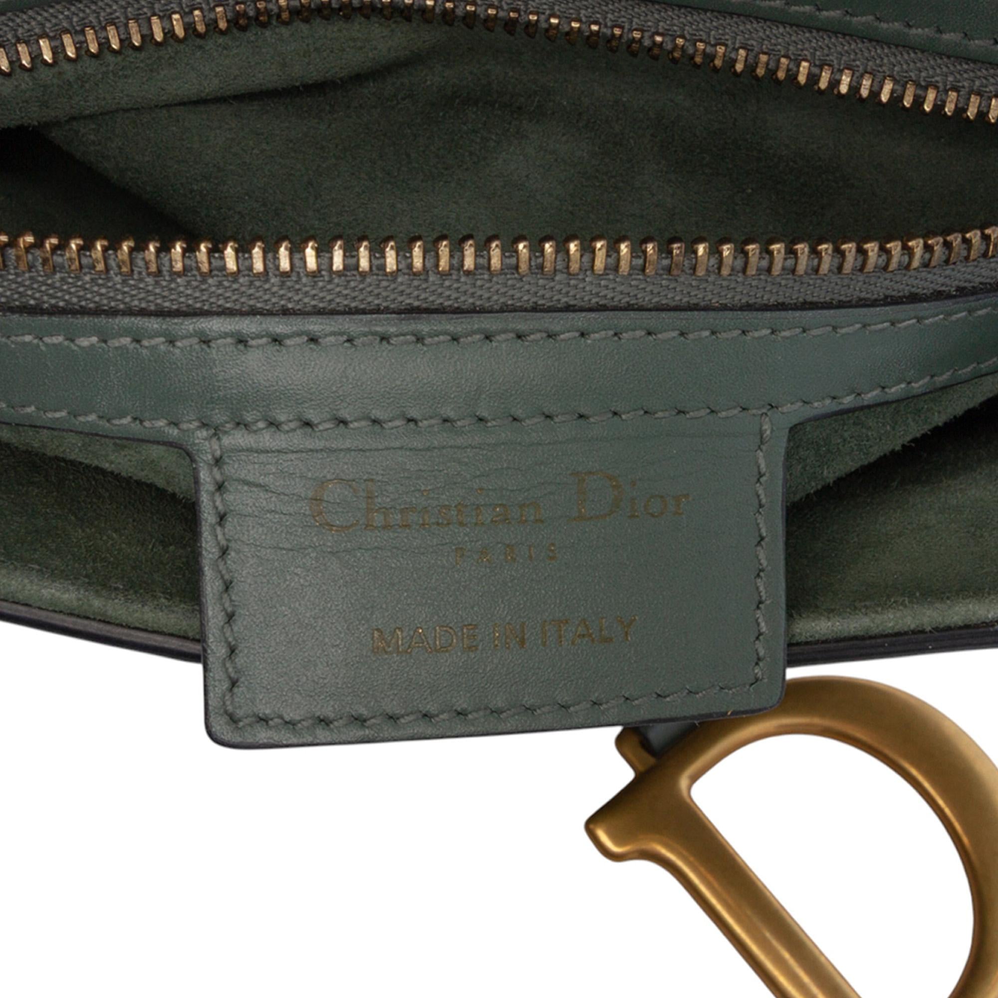Dior Smooth Calfskin Saddle Bag