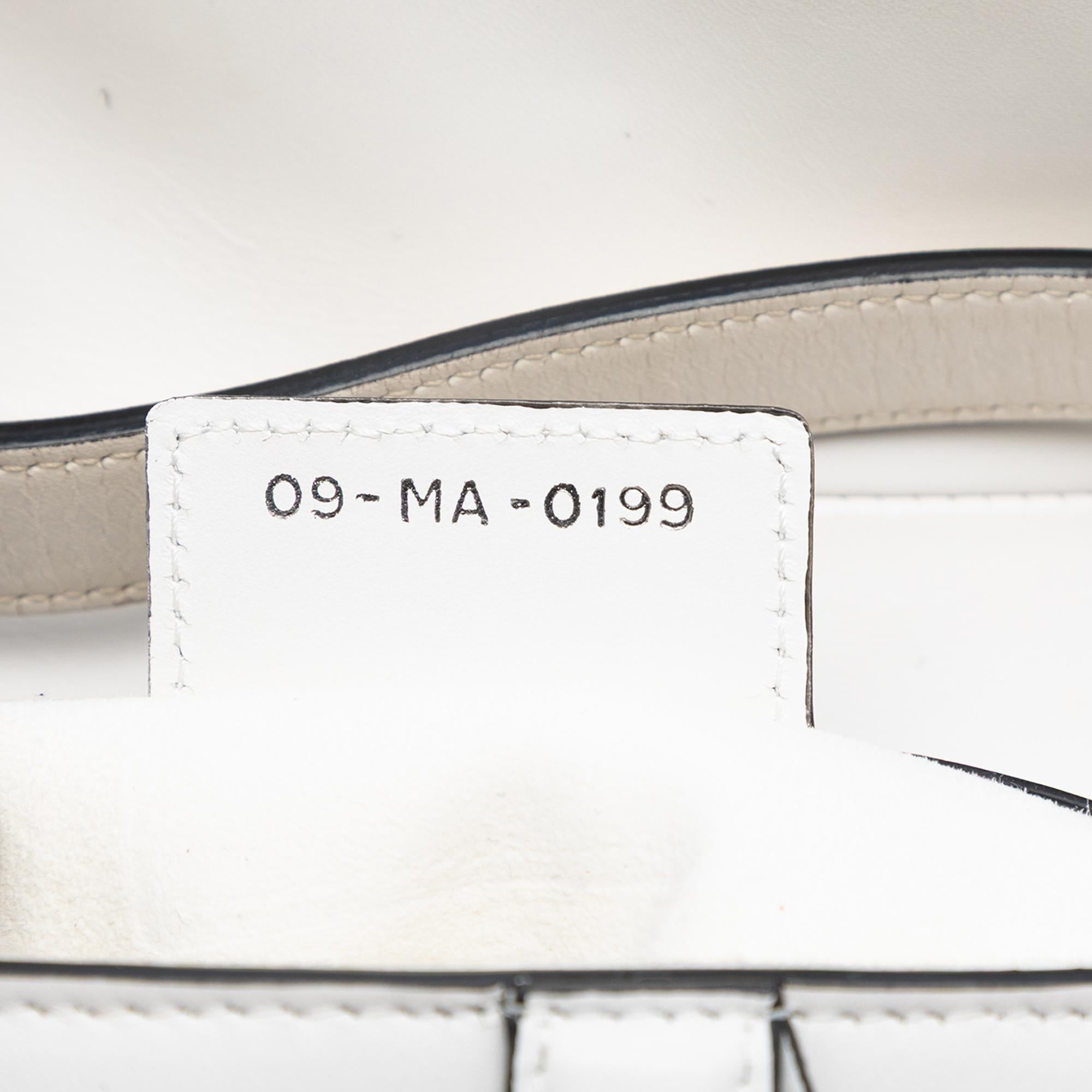 Dior Smooth Calfskin Saddle Bag