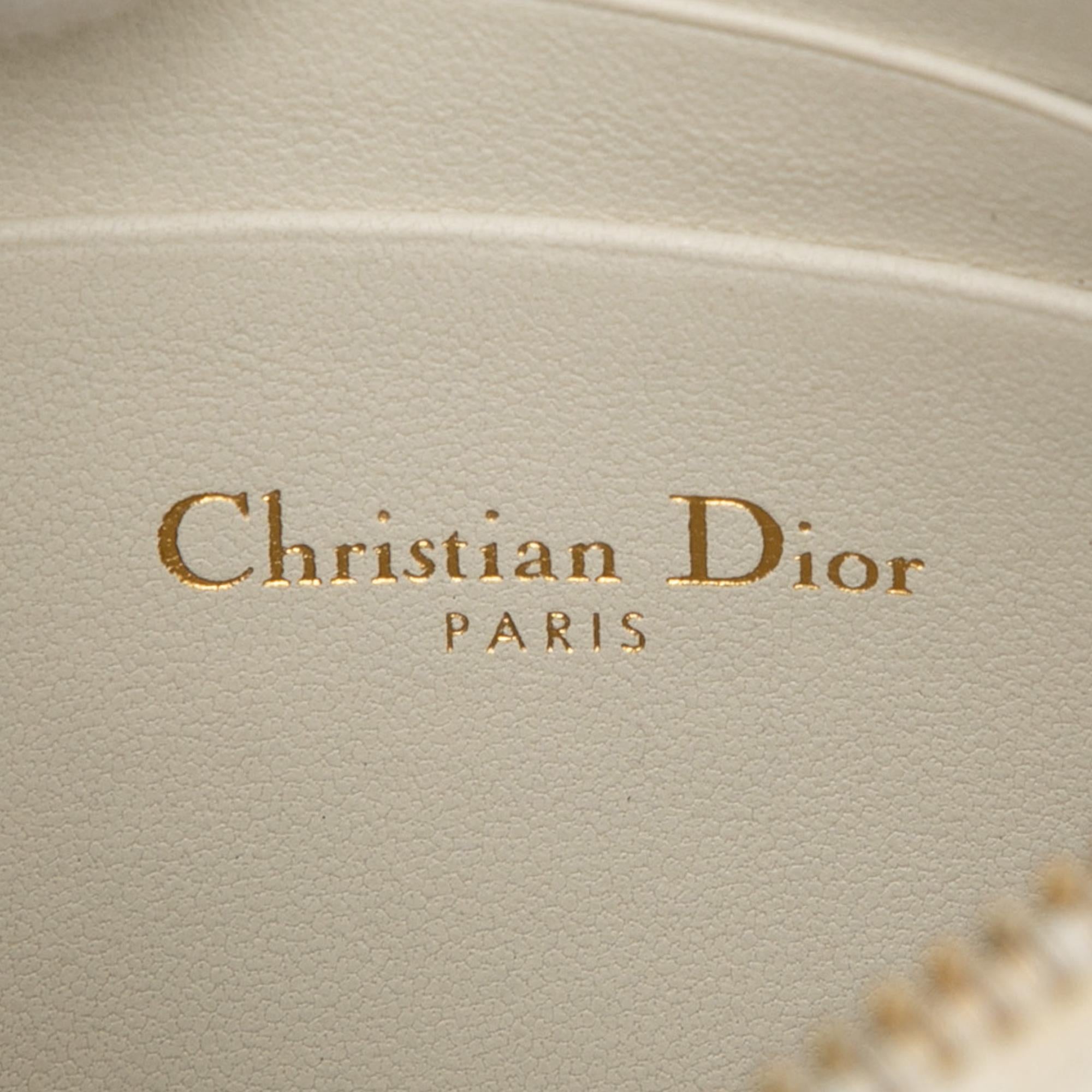 Dior Supple Cannage Calfskin Caro Every Dior Pouch