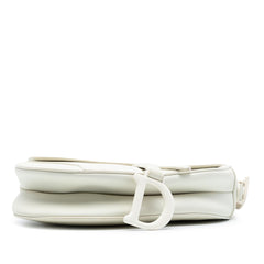 Dior Ultra Matte Calfskin Saddle Bag