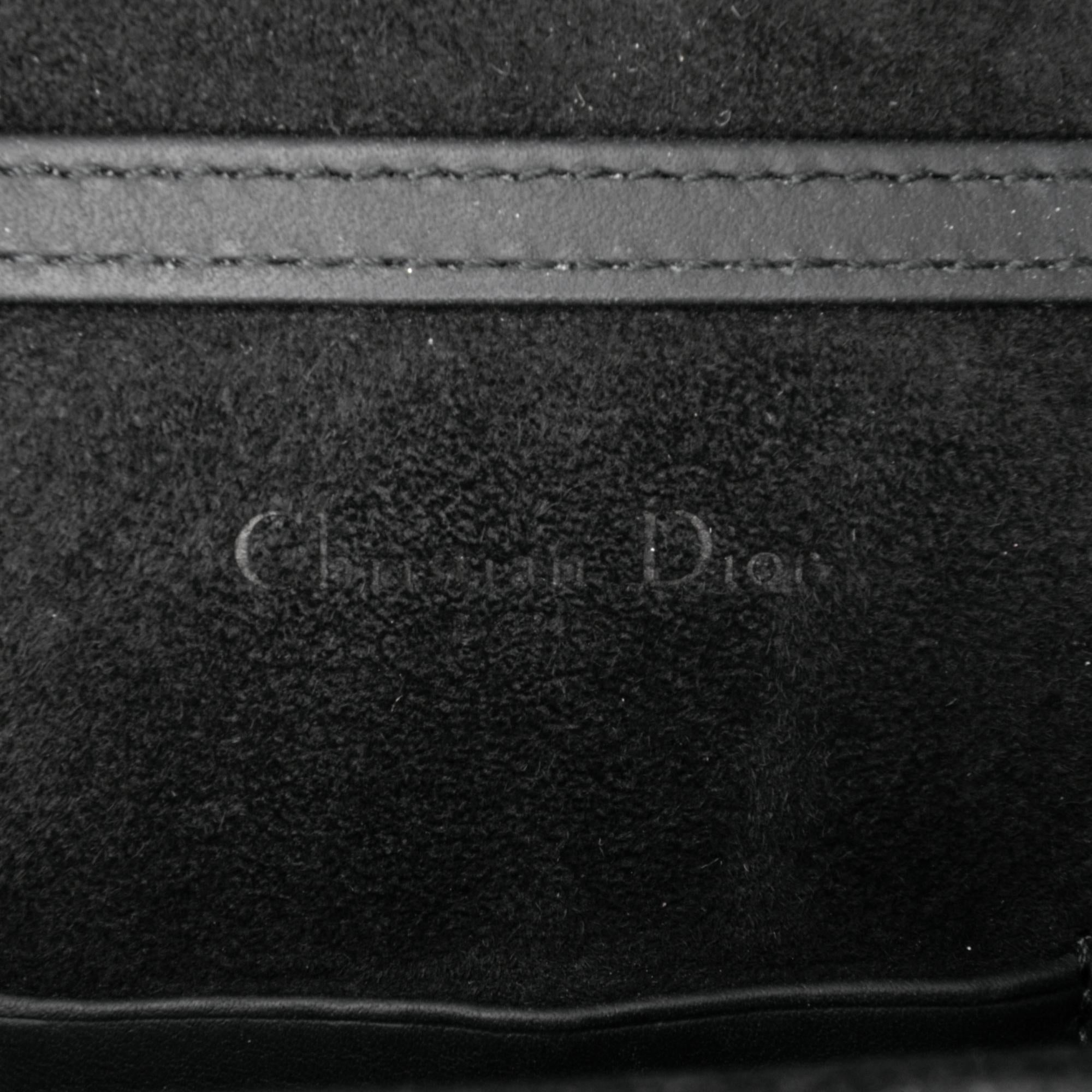 Dior Ultra Matte Calfskin Studded Vertical Diorama