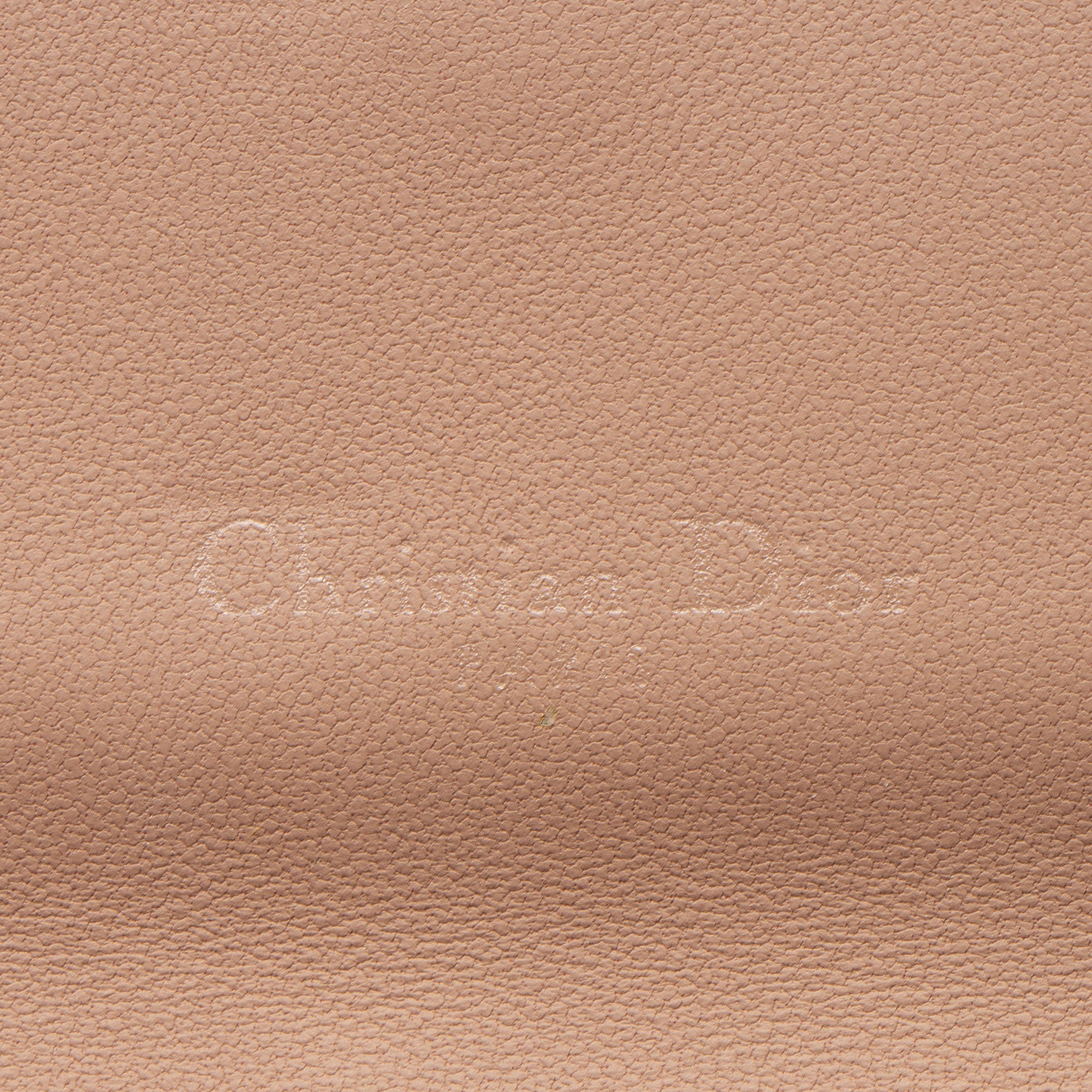Dior Ultramatte Calfskin Saddle Chain Pouch