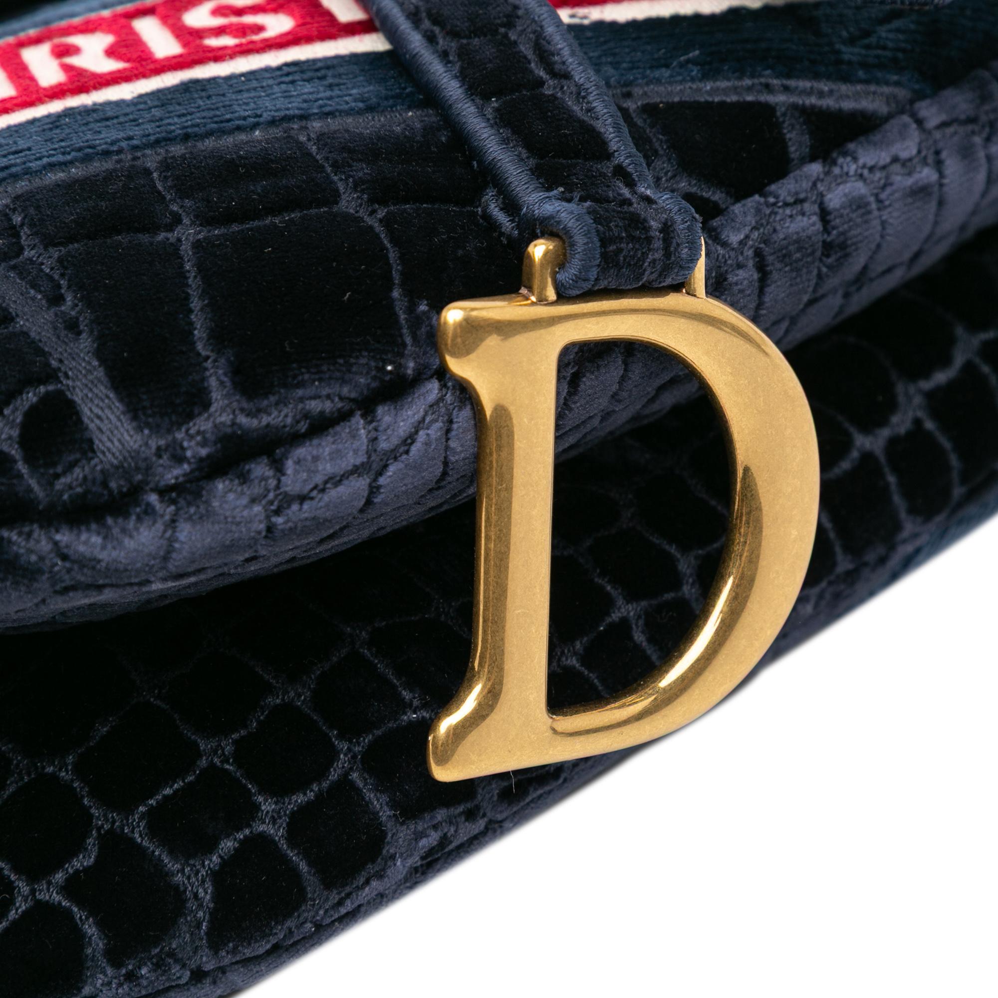 Dior Velvet Embroidered Crocodile Effect Saddle Bag