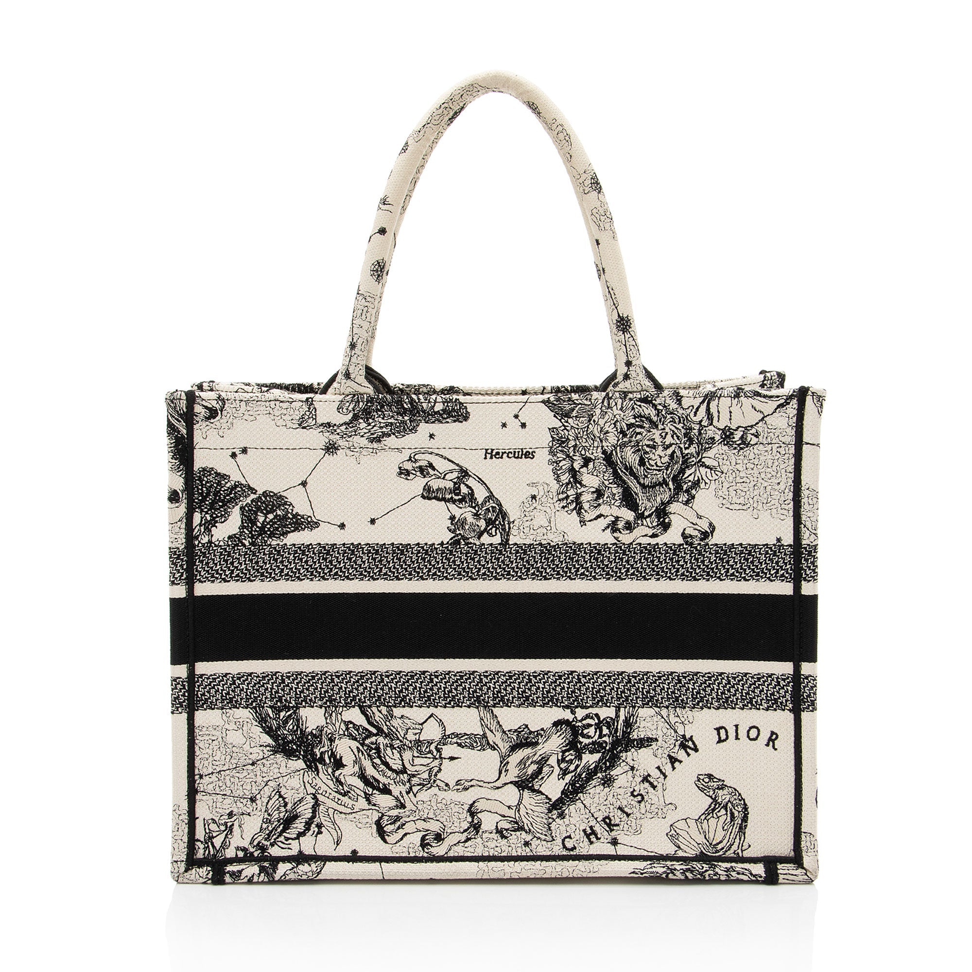 Dior Zodiac Toile De Jouy Medium Book Tote
