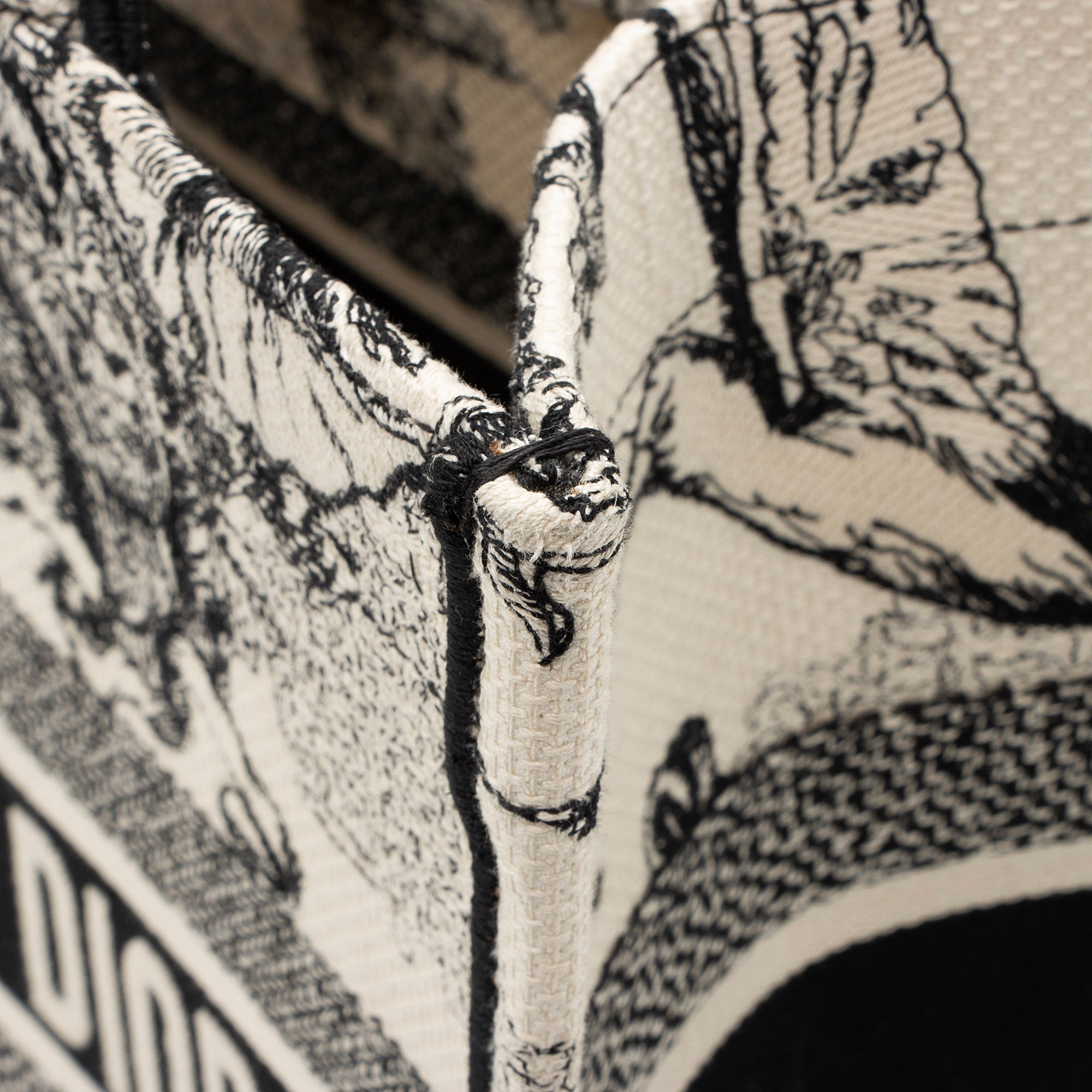 Dior Zodiac Toile De Jouy Medium Book Tote