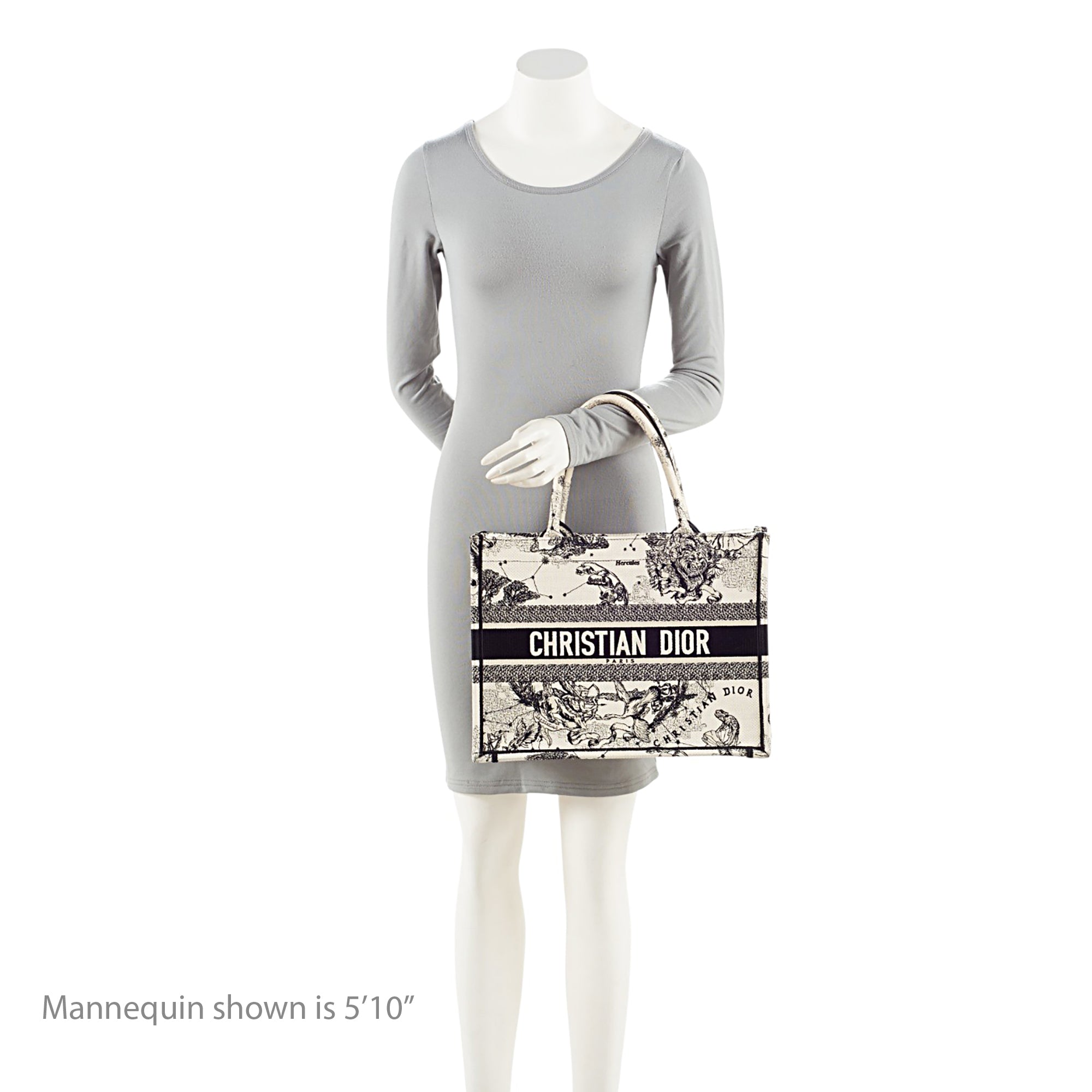Dior Zodiac Toile De Jouy Medium Book Tote
