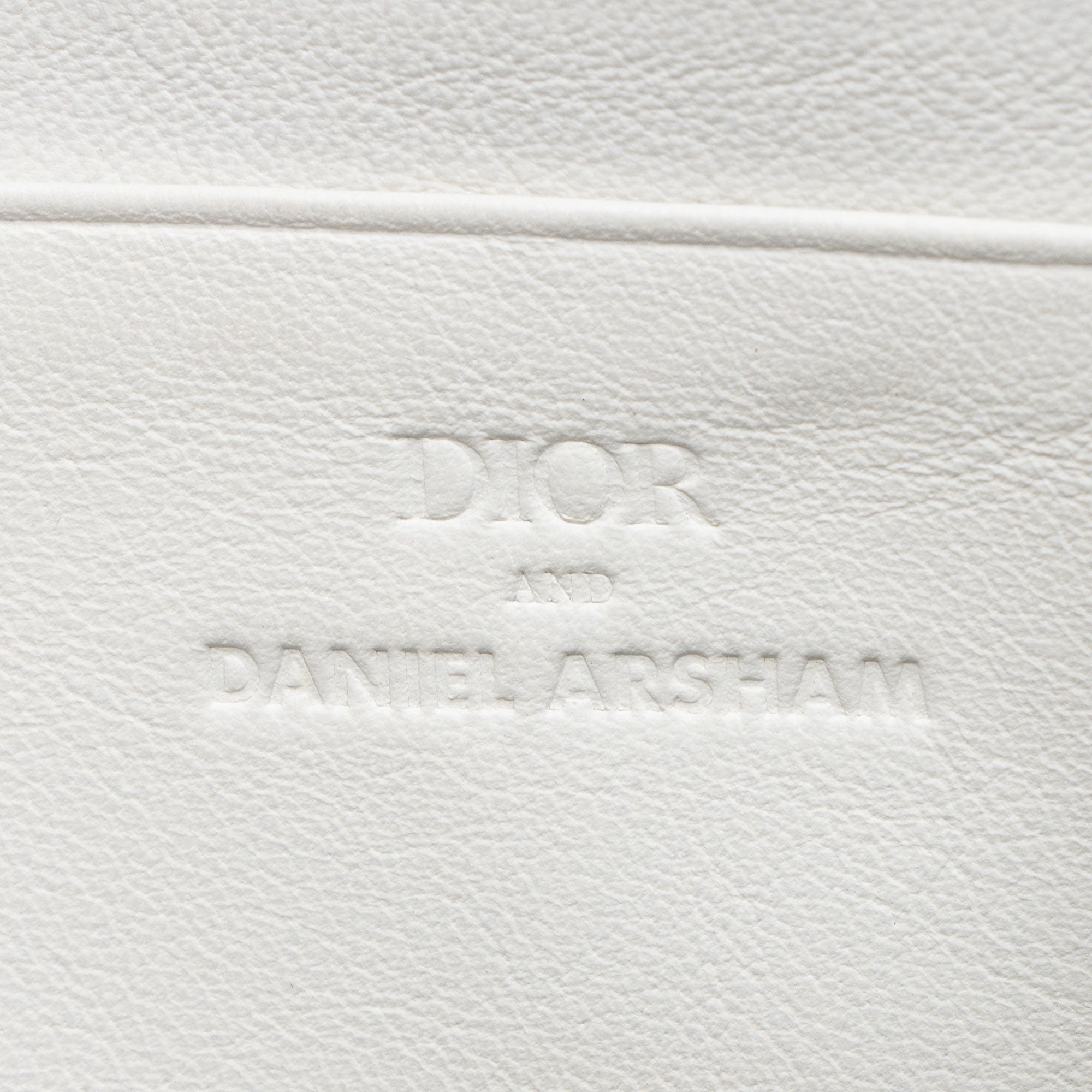 Dior x Daniel Arsham Leather Newsprint Double Zip Crossbody