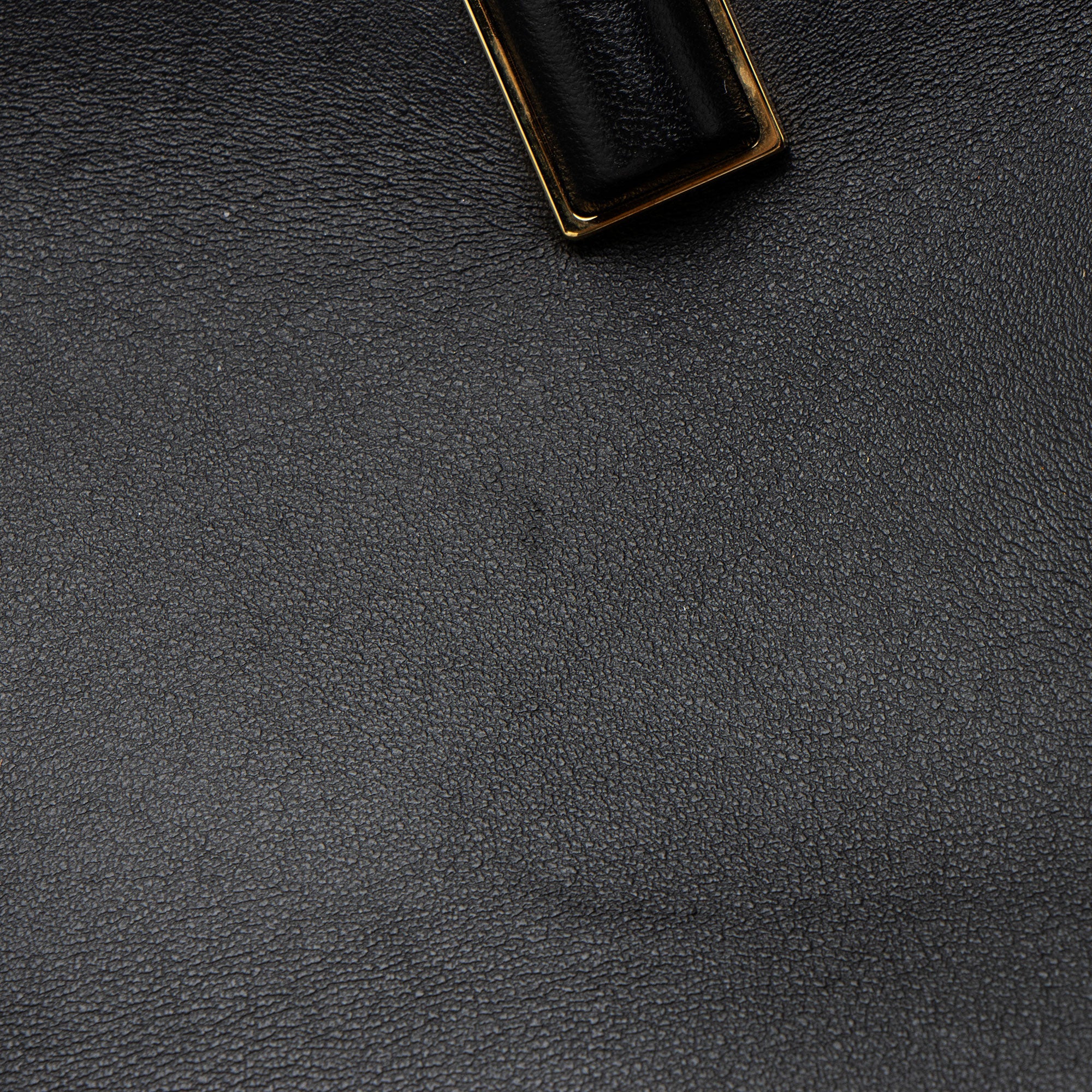 Fendi Lambskin Fendi First Small Shoulder Bag