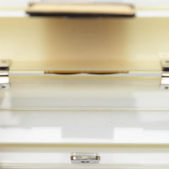 Fendi Mini Acrylic Vitello Trunk Baguette Crossbody