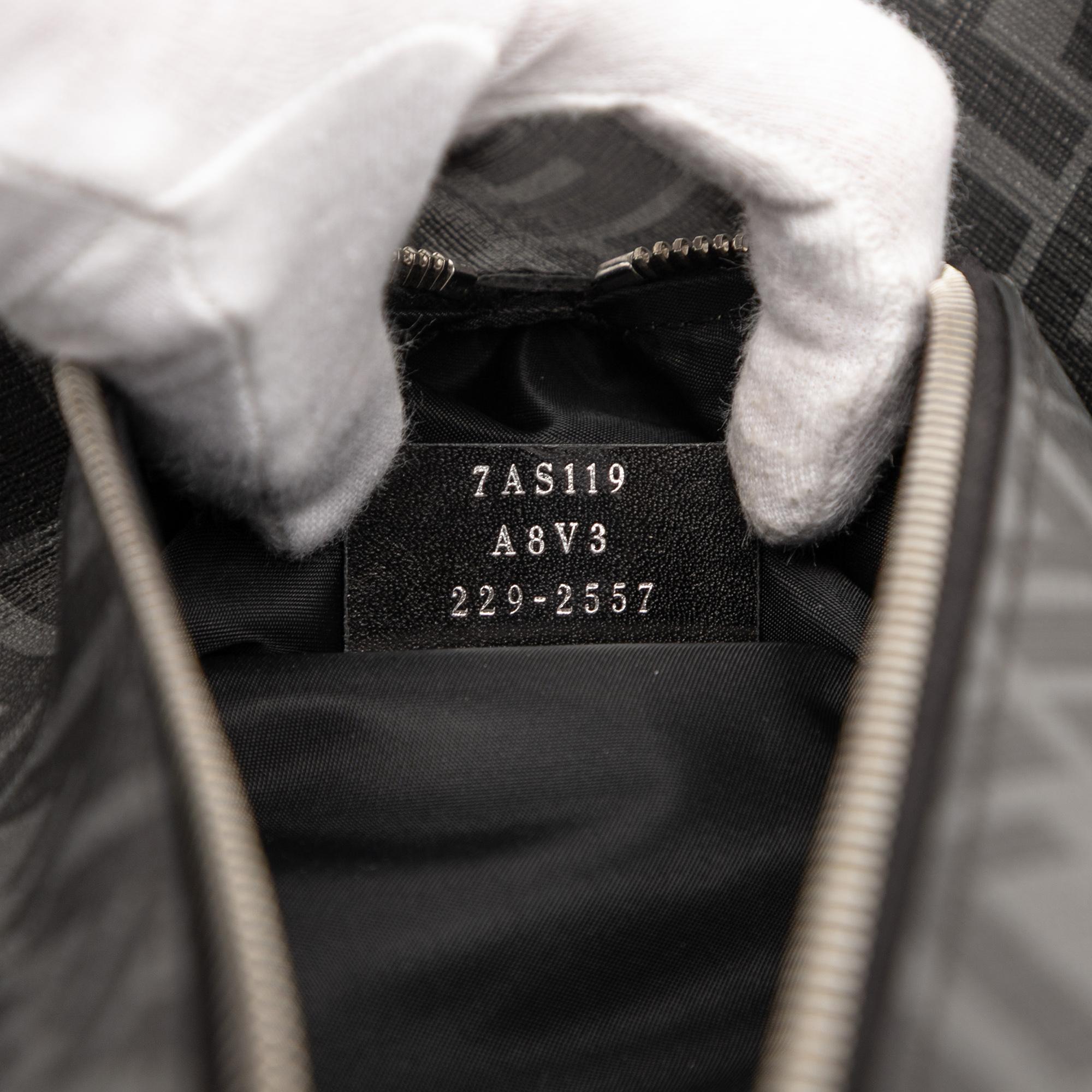 Fendi Zucca Coated Canvas Shoe Case