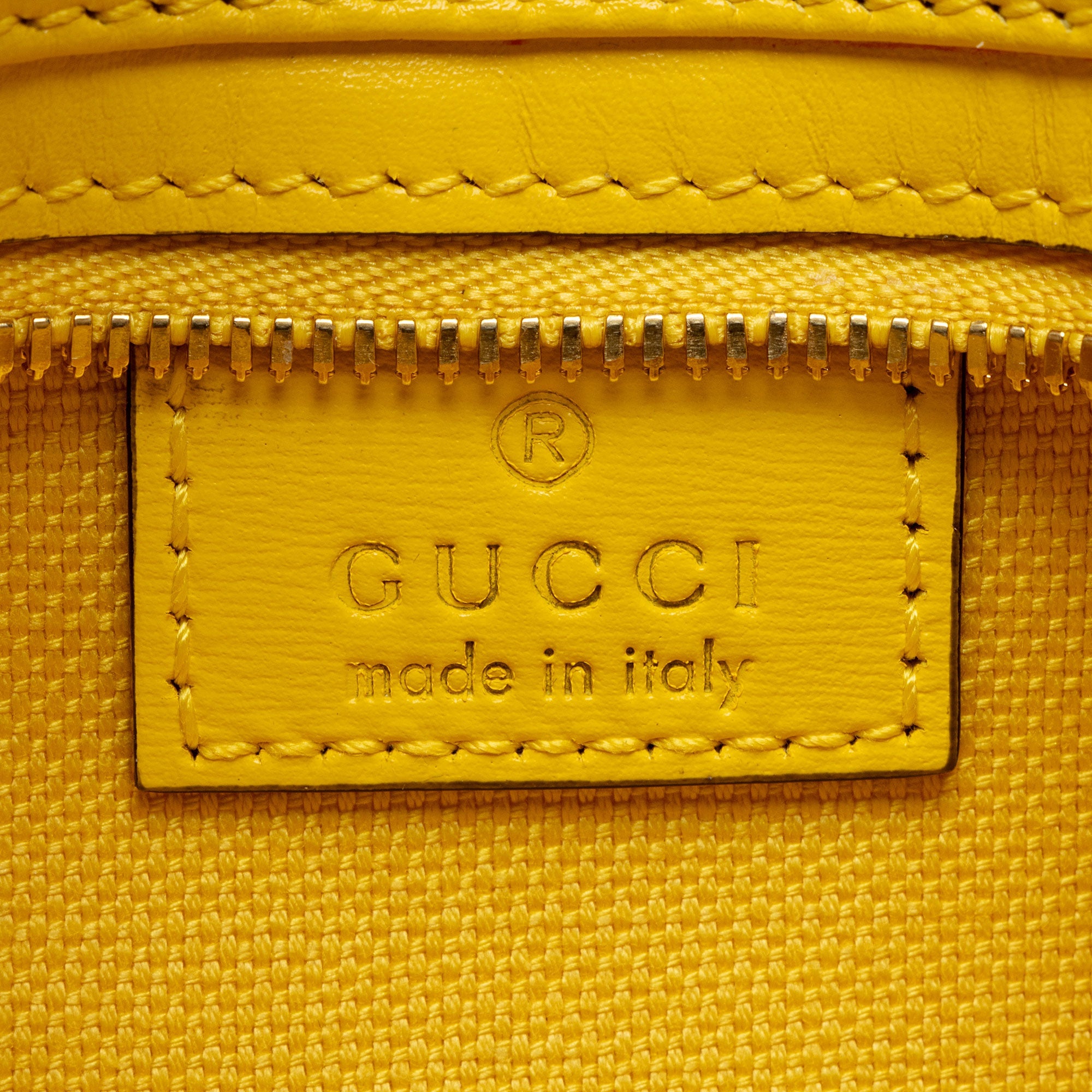 Gucci GG Canvas Moon Side Shoulder Bag
